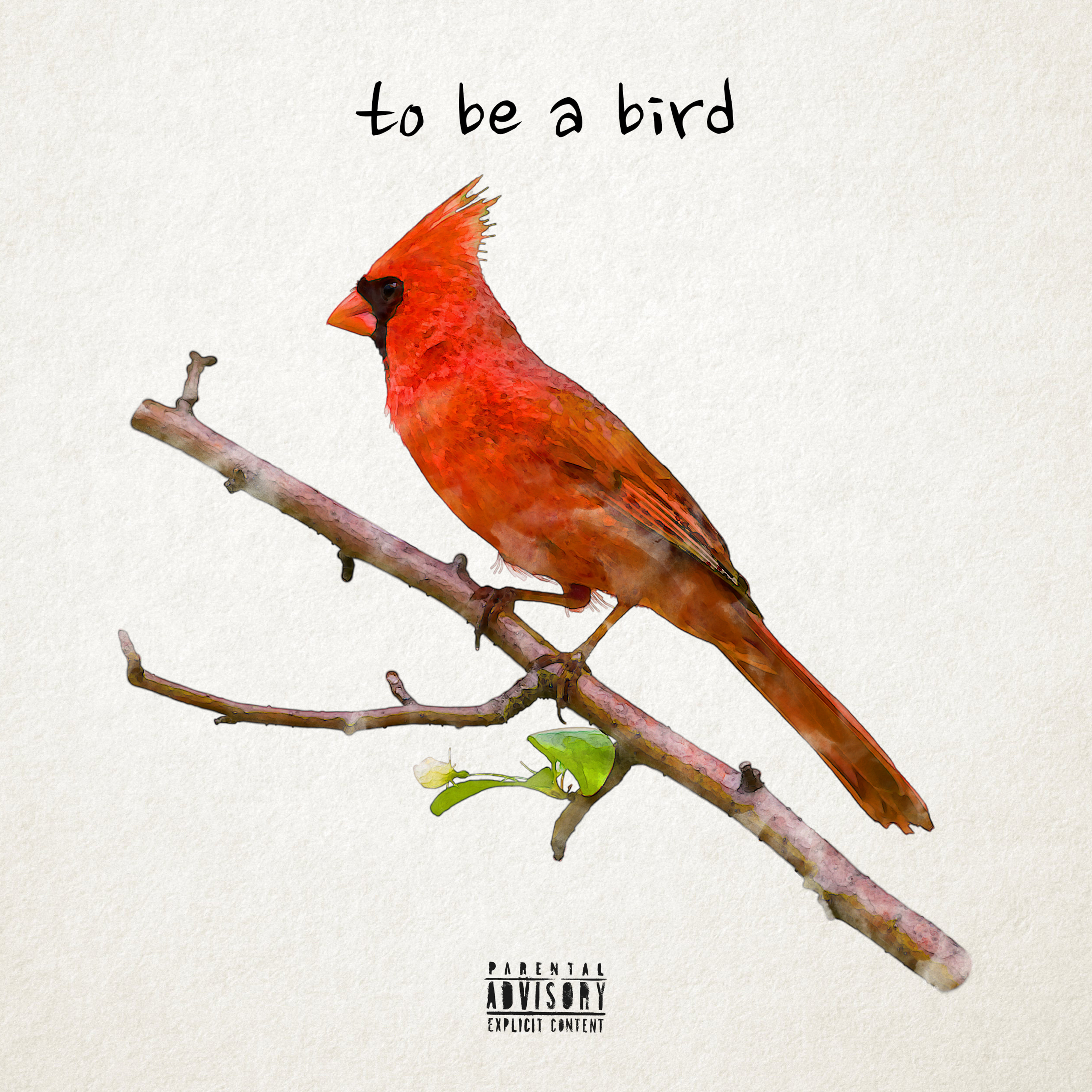 to be a bird artwork