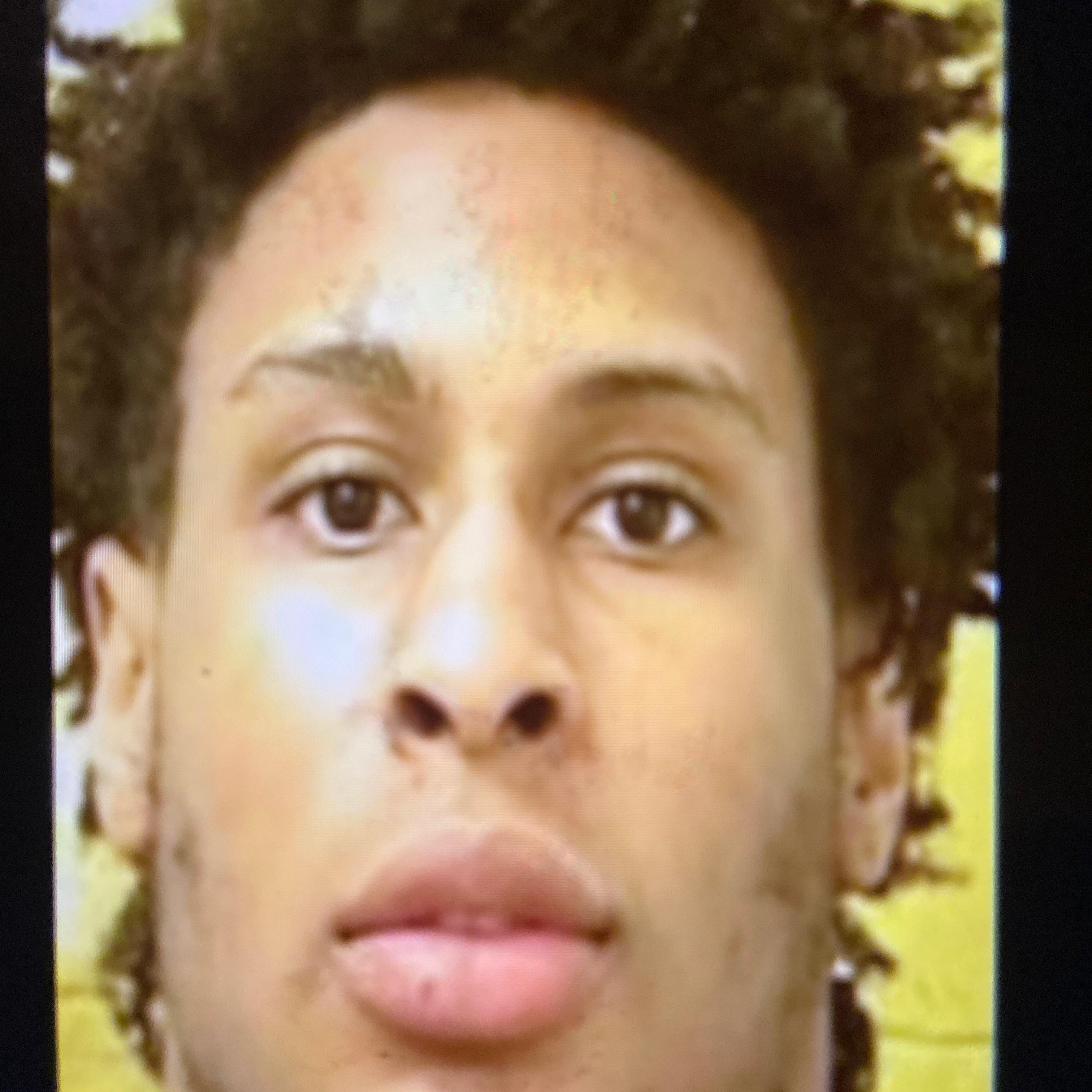 Free Bhrisoo artwork