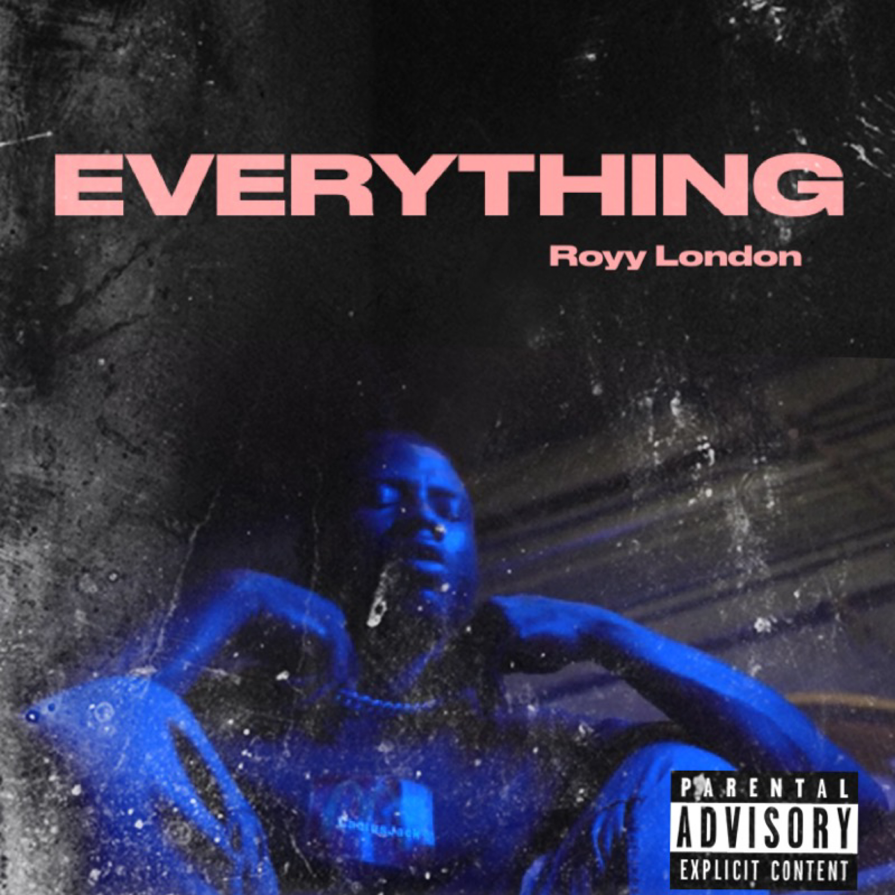 EVERYTHING artwork