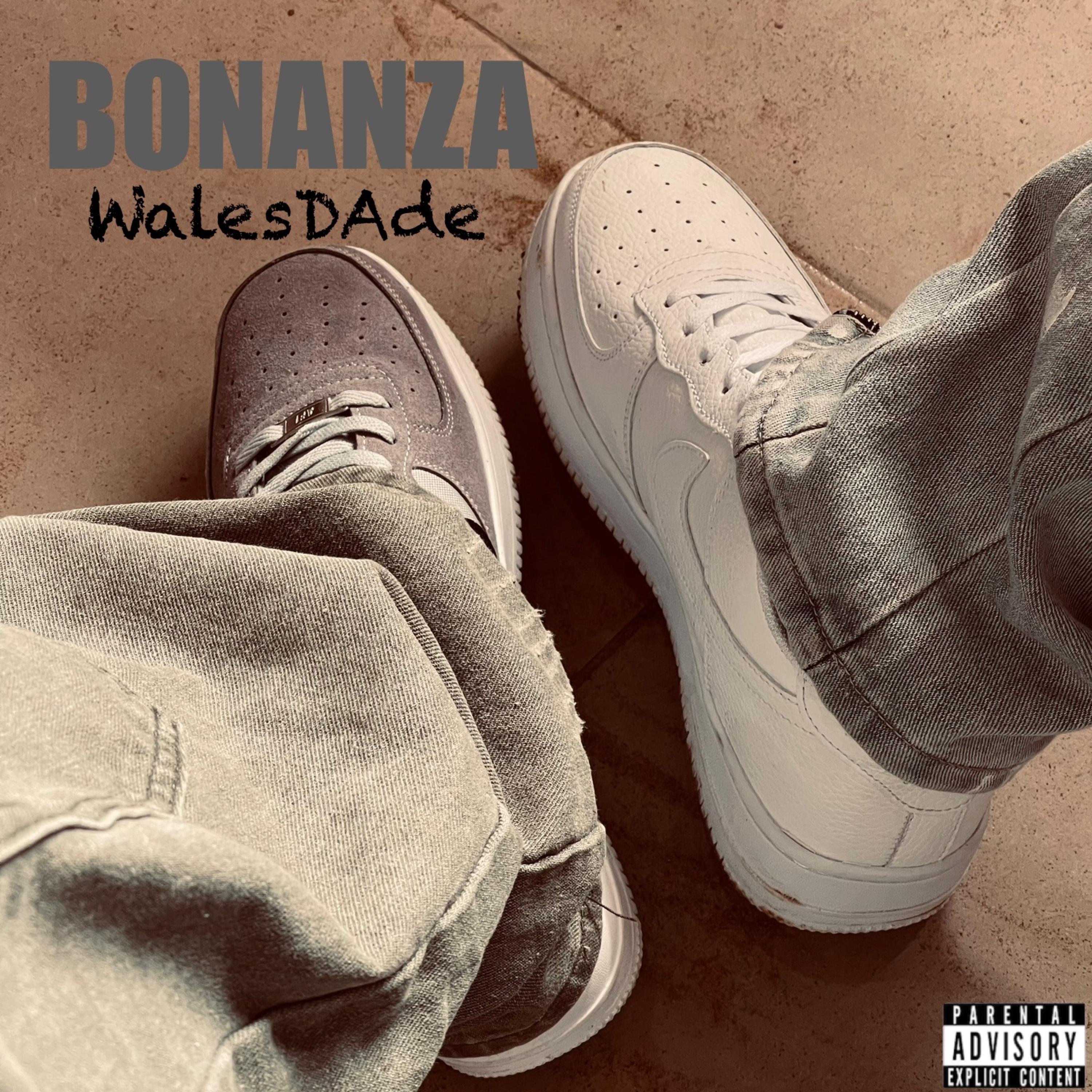 Bonanza artwork