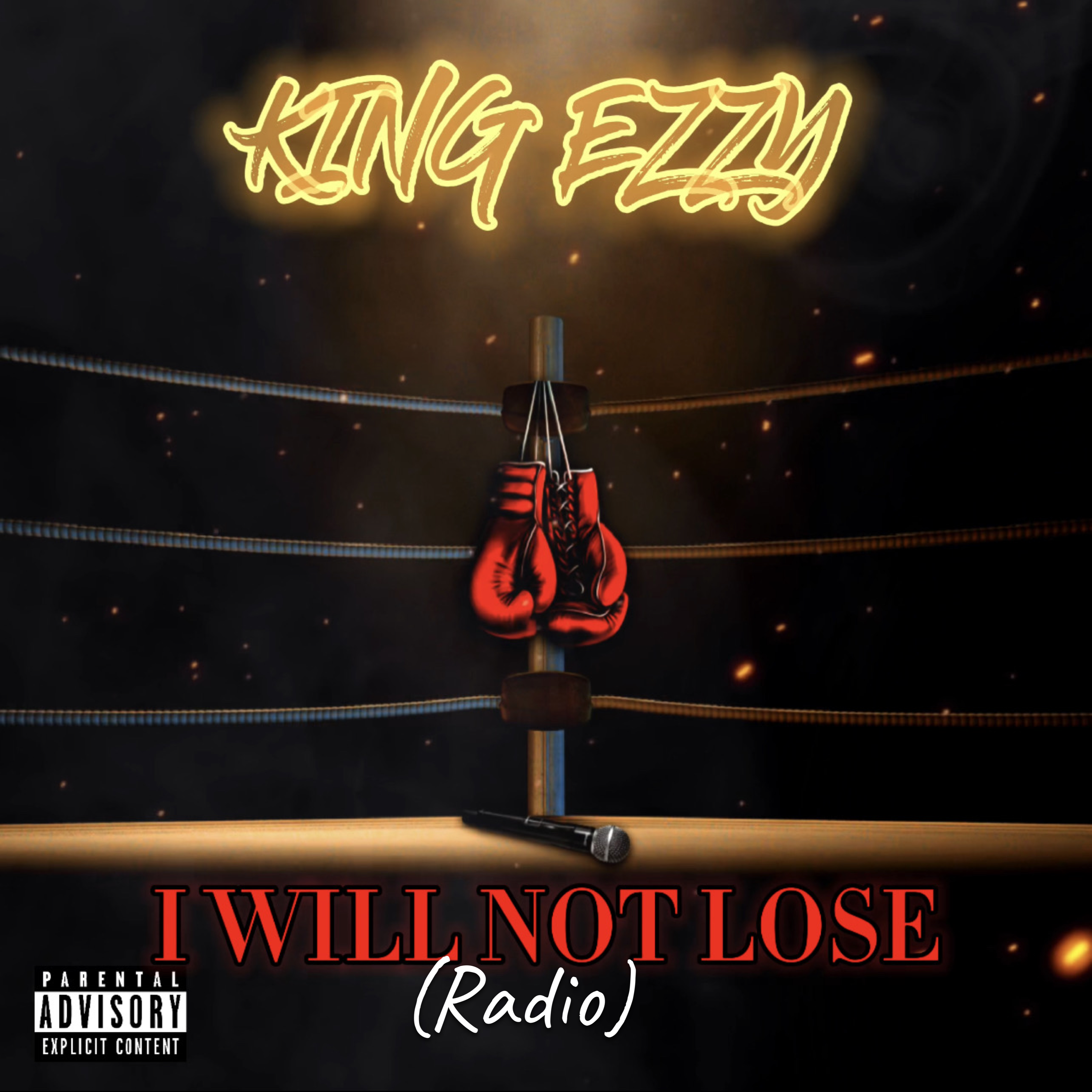 I Will Not Lose (Radio) artwork