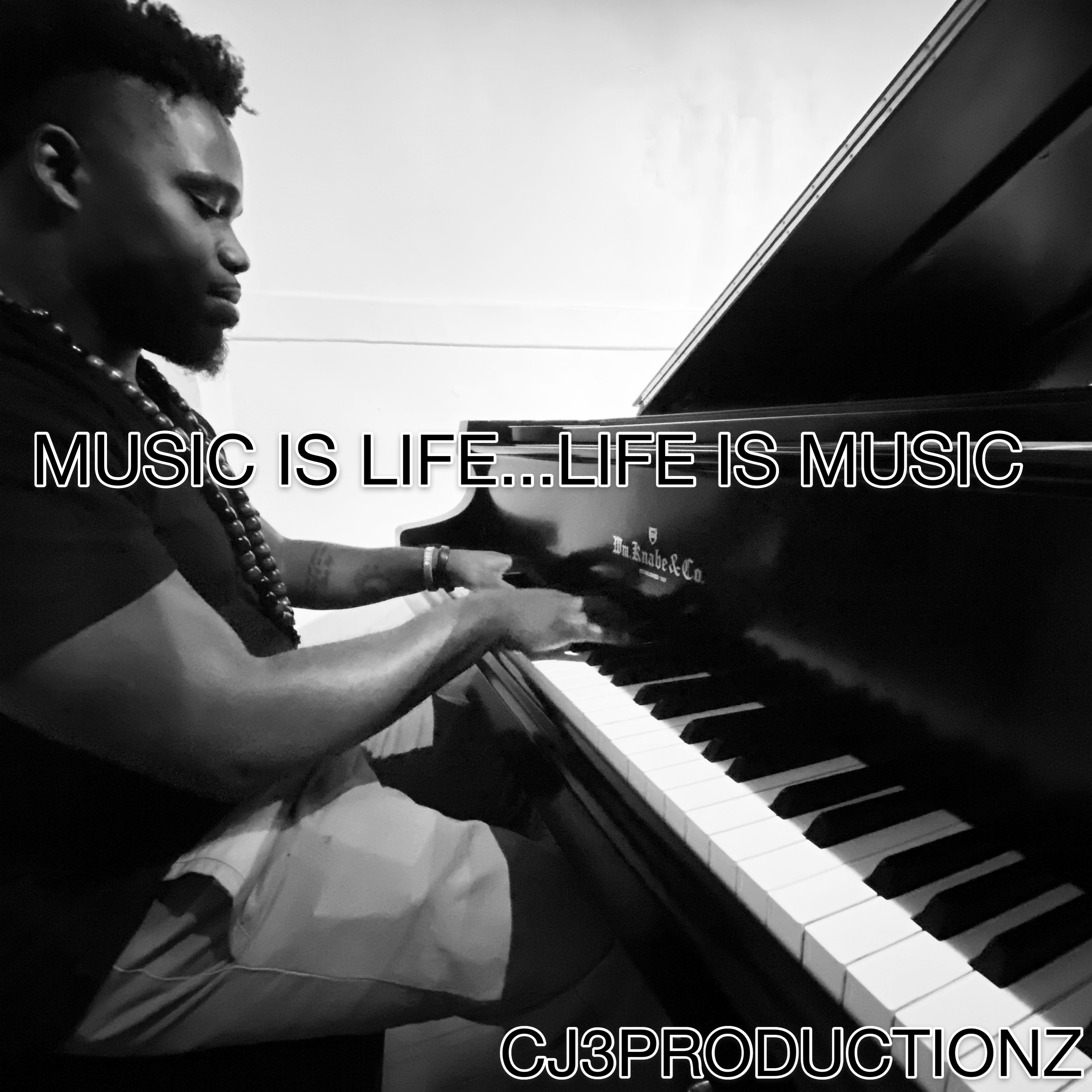 Music Is Life...Life Is Music artwork
