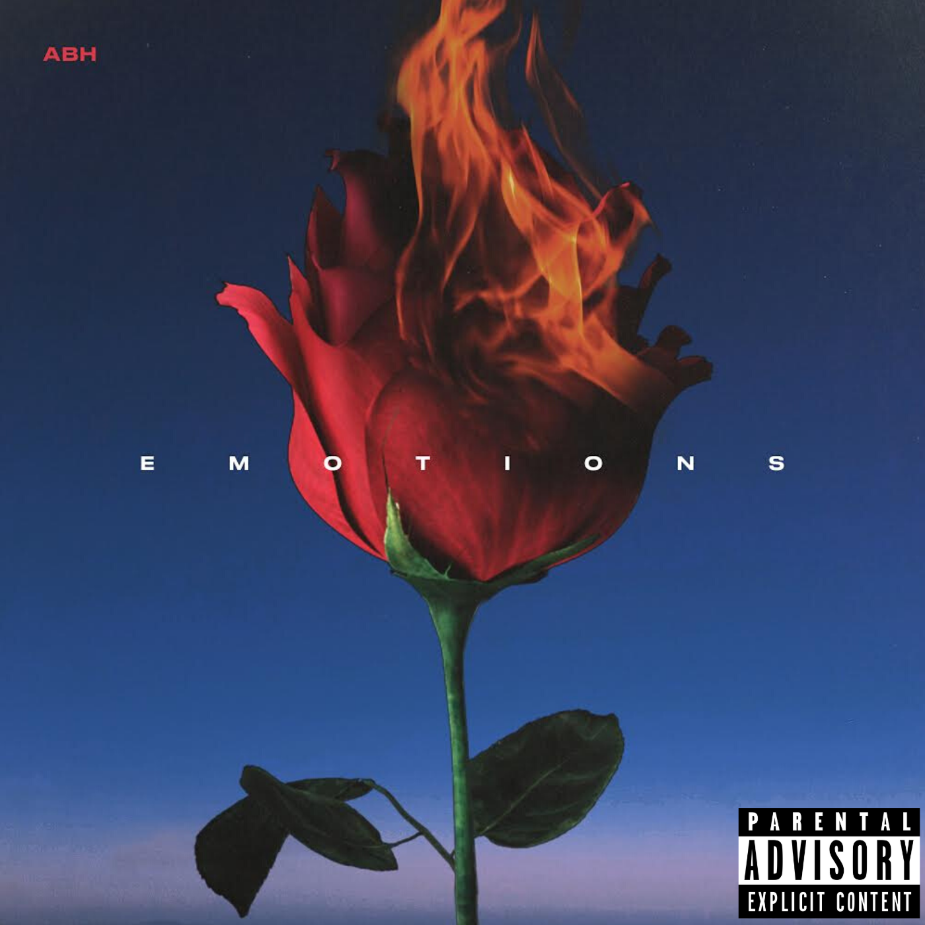 Emotions artwork