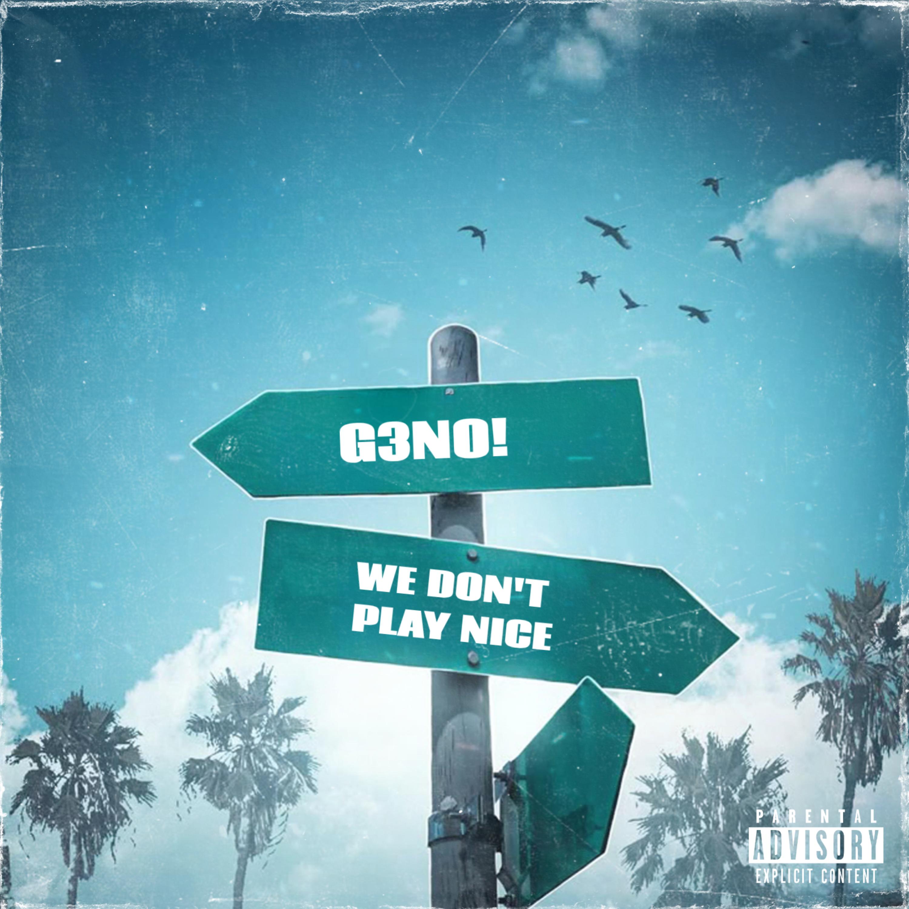 we dont play nice artwork