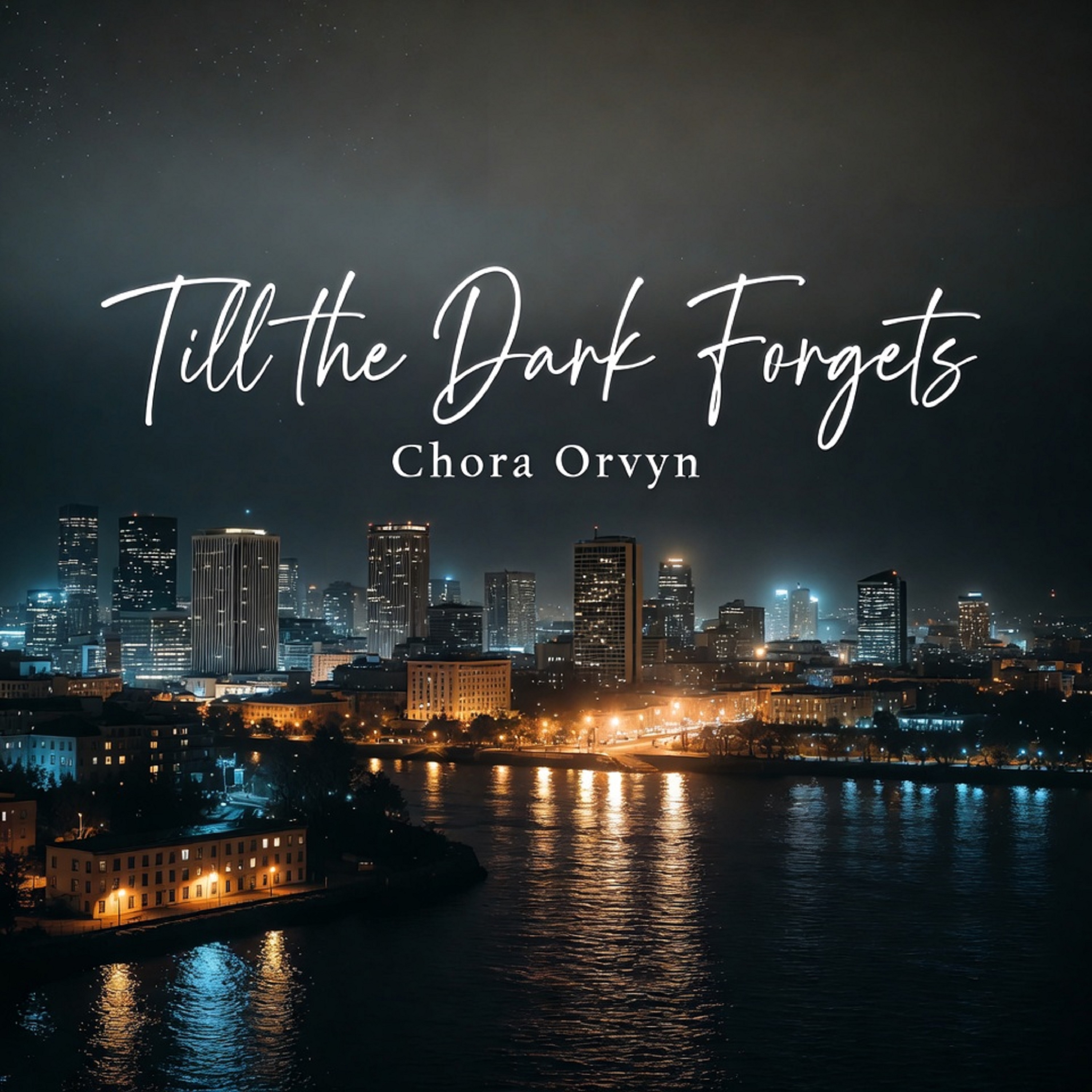 Till the Dark Forgets artwork