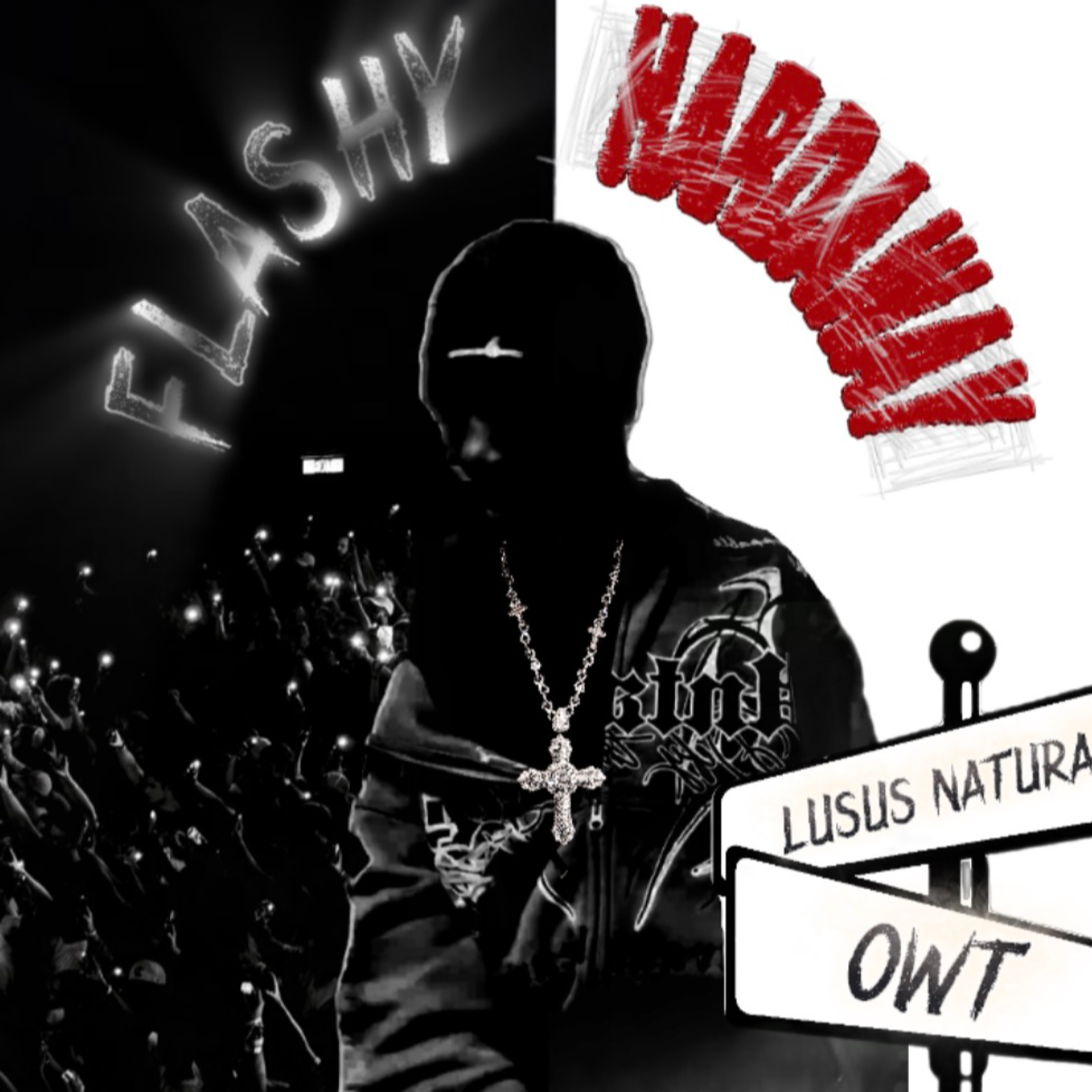 FLASHY HARDAWAY artwork