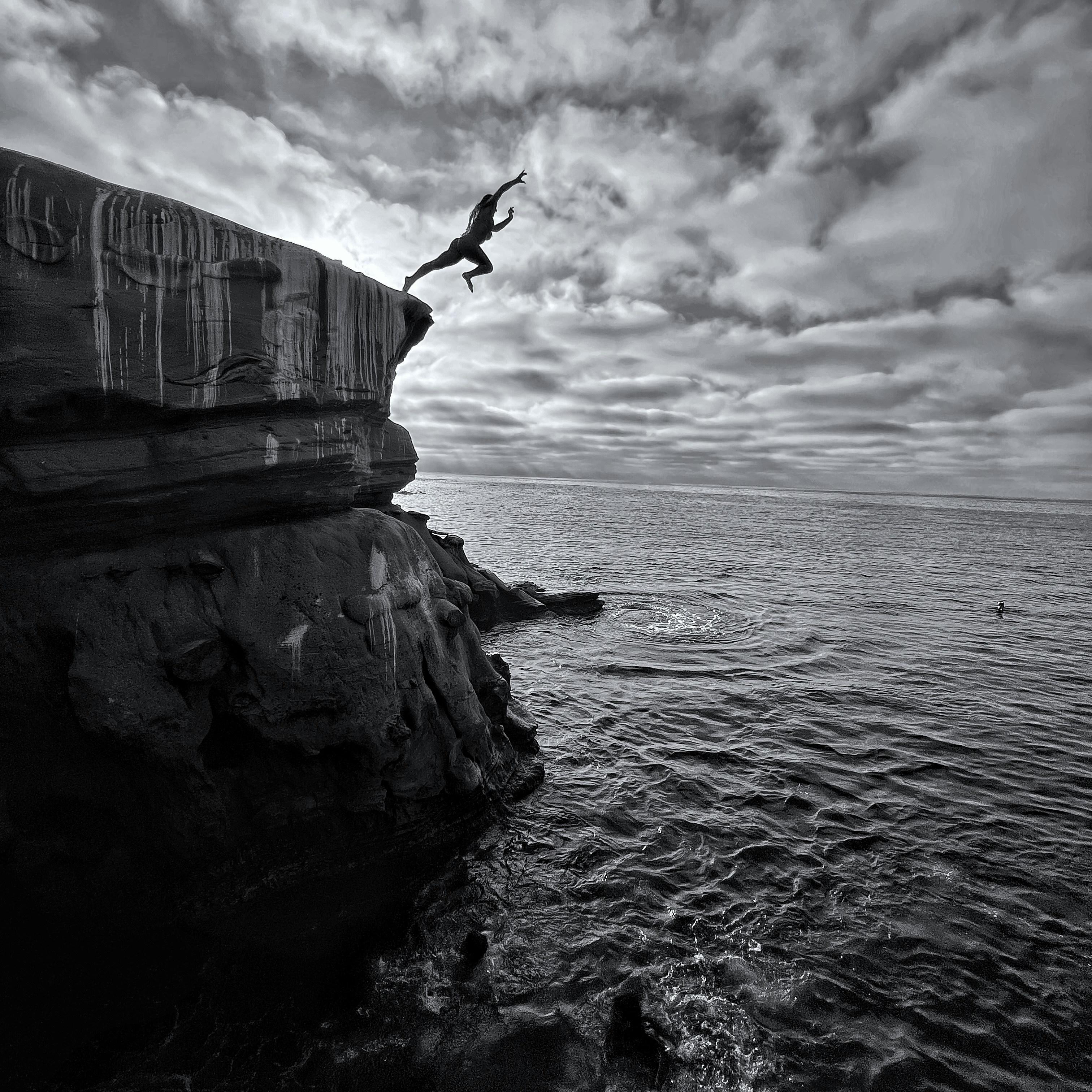 The Leap Across The Chasm artwork