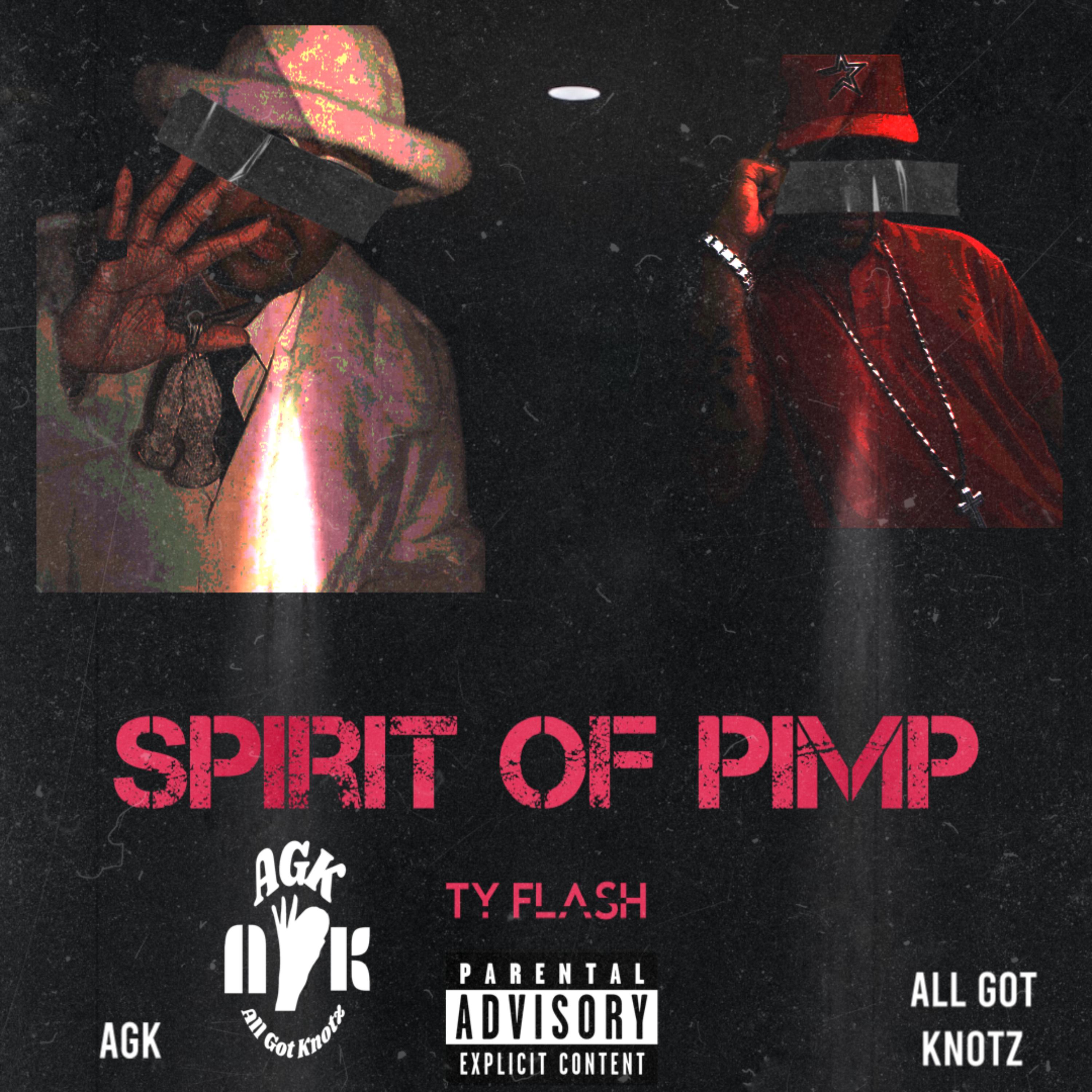 Spirit Of Pimp by Ty Flash cover art