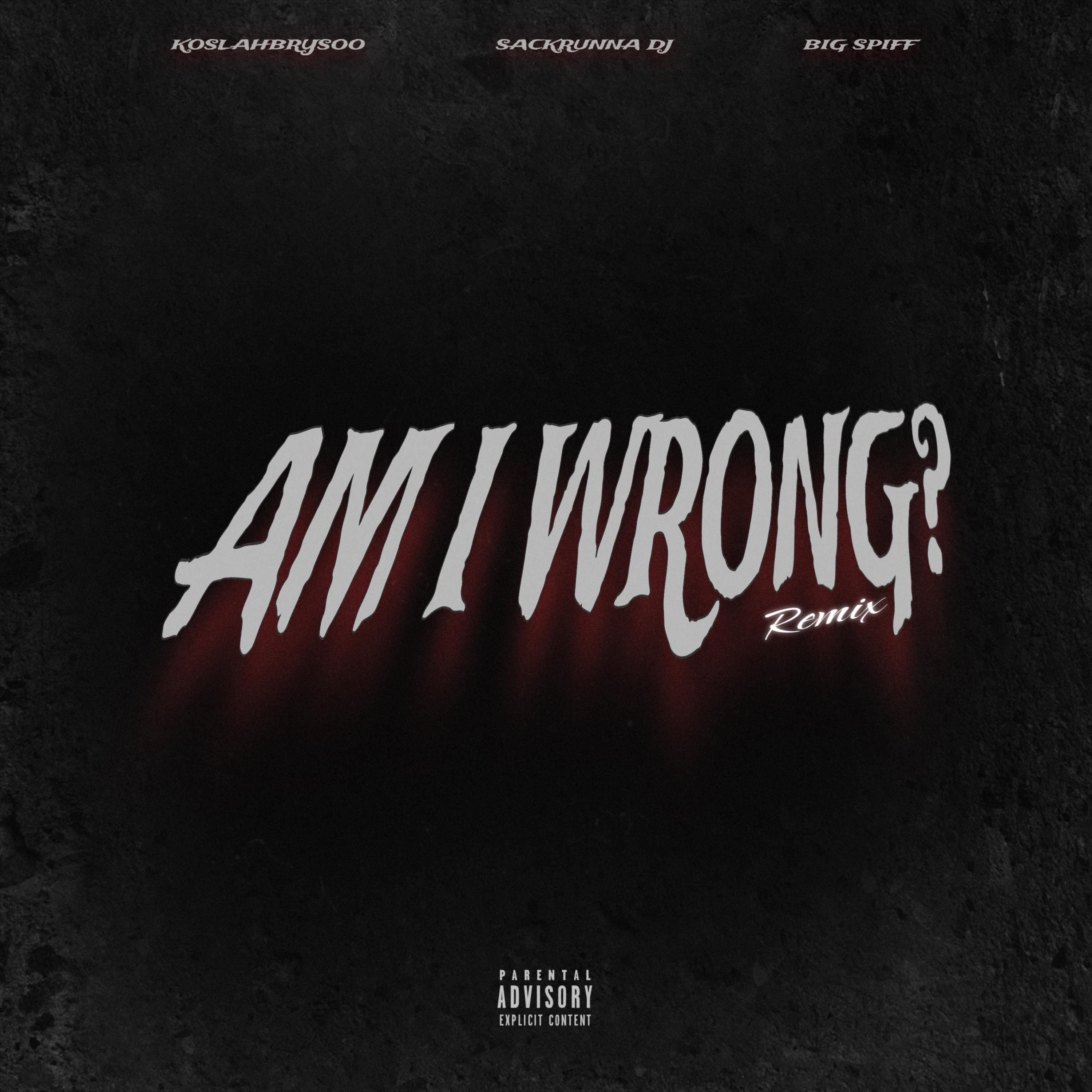 Am I Wrong (Remix) artwork