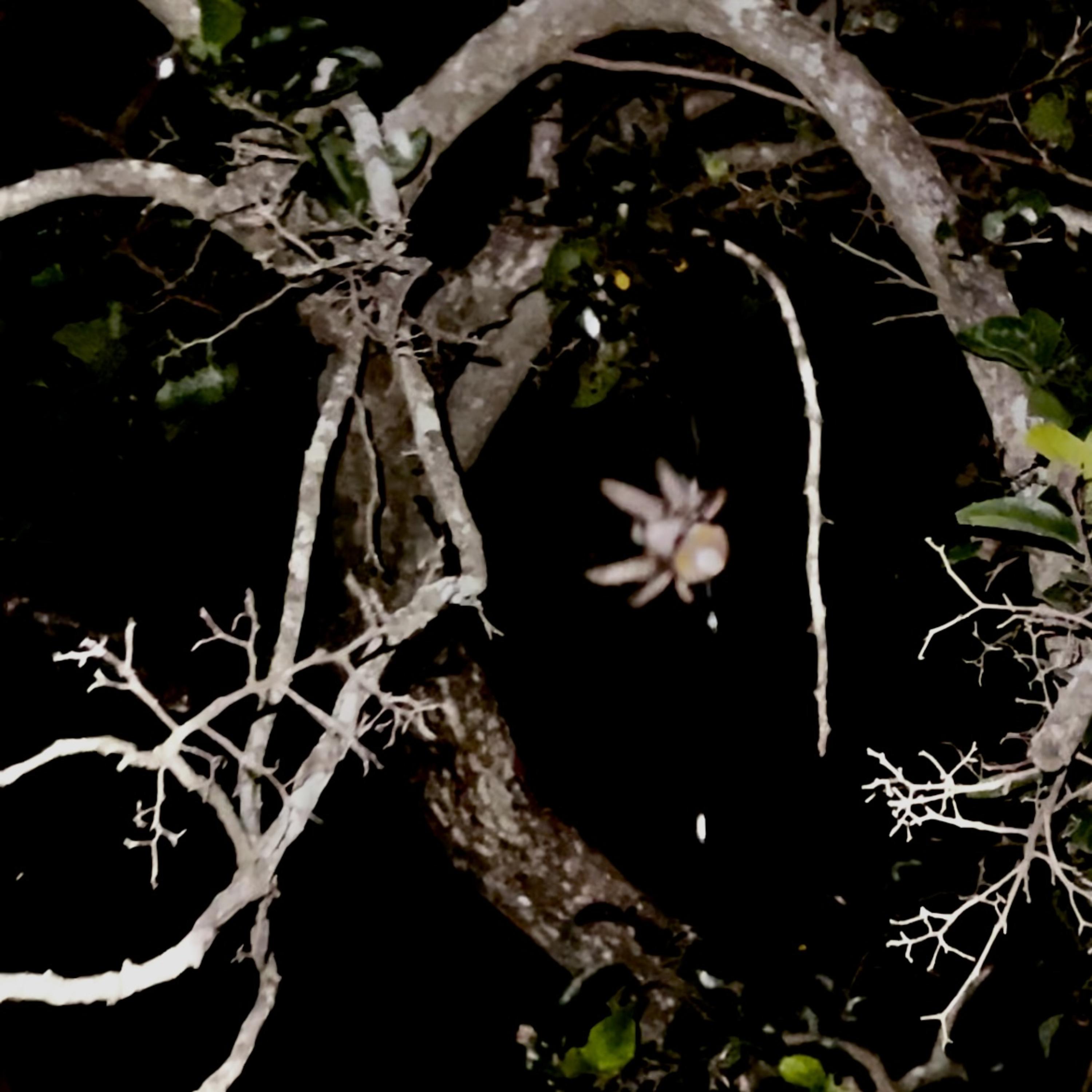 Into the Dark artwork