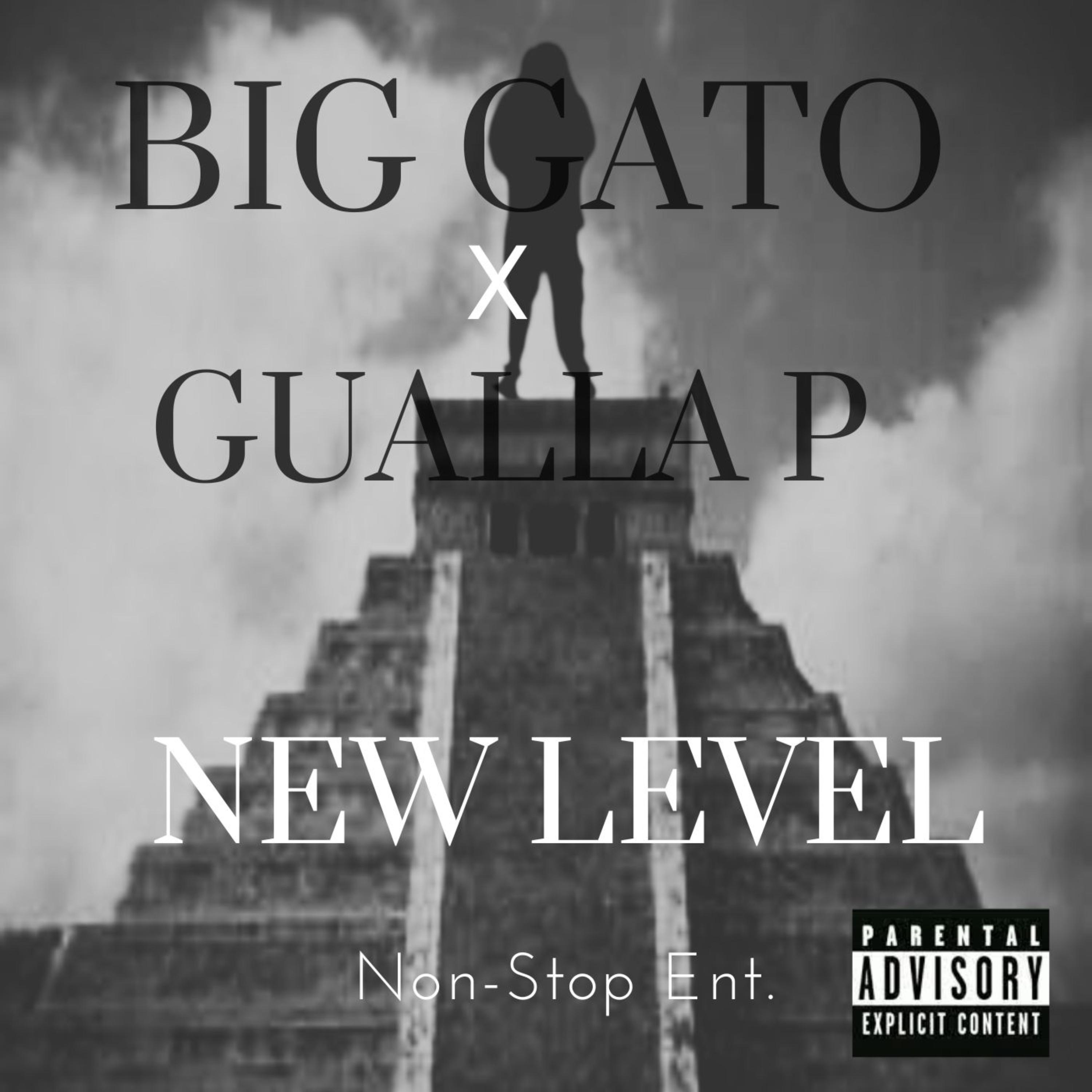 New Level by Big Gato cover art