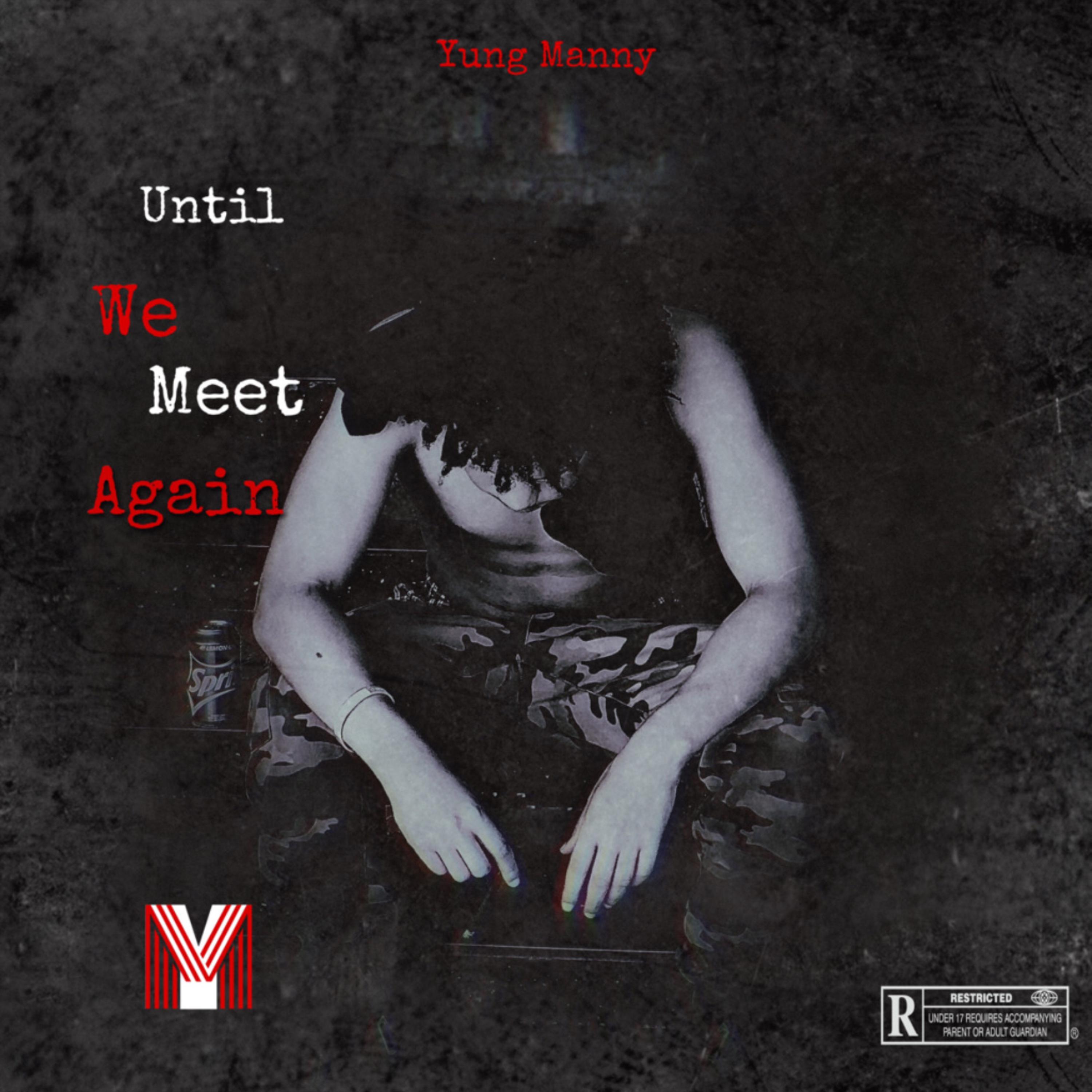 Until We Meet Again artwork