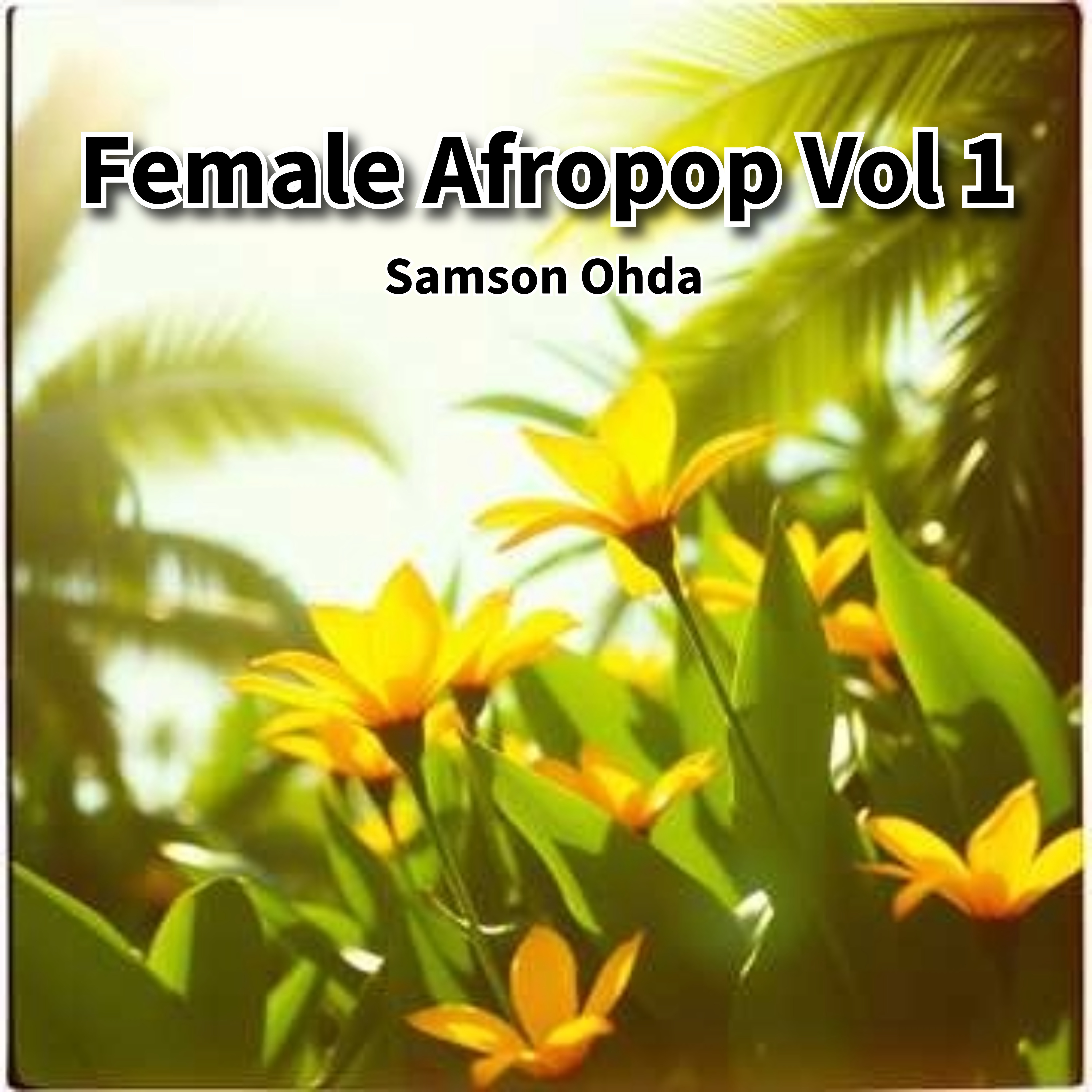 Female Afropop Vol 1  artwork