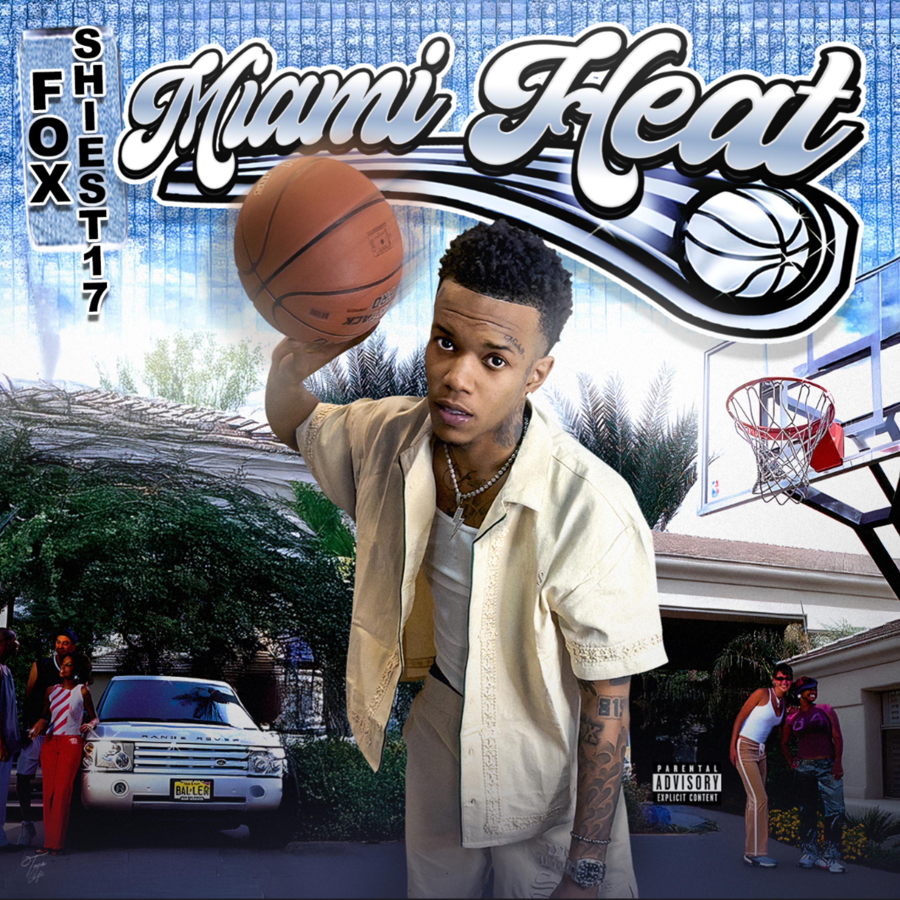 Miami Heat artwork