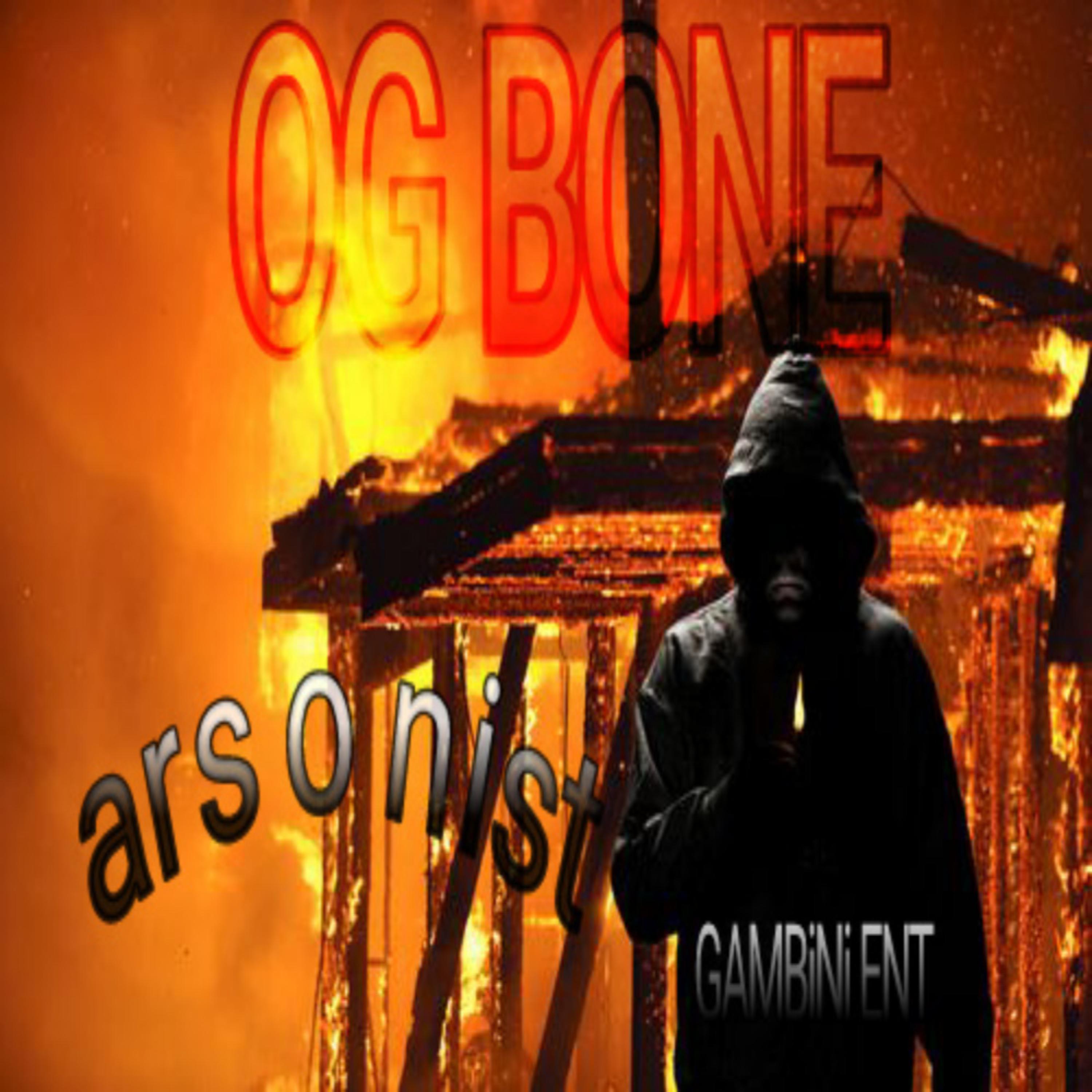 Arsonist artwork