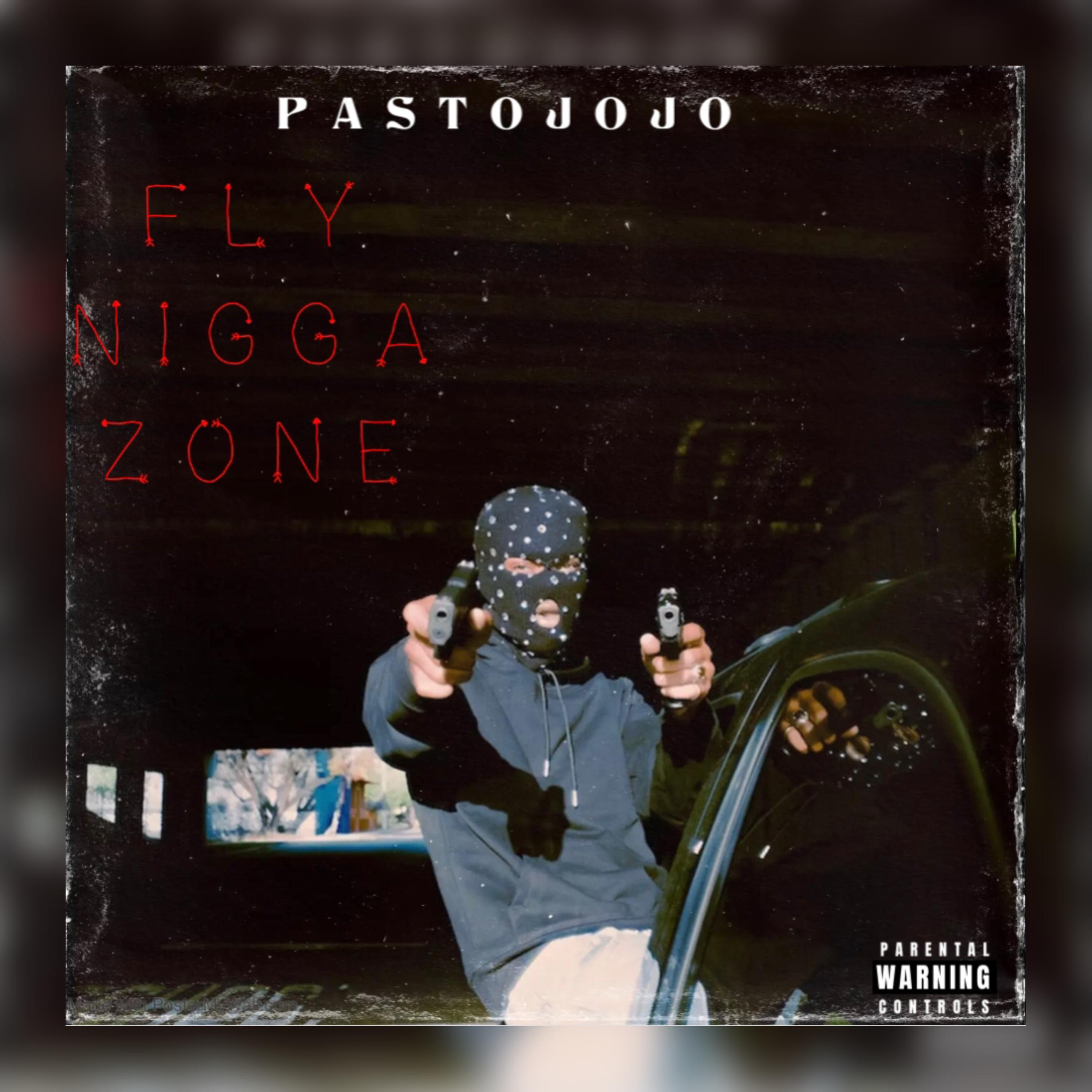 FLY NIGGA ZONE artwork