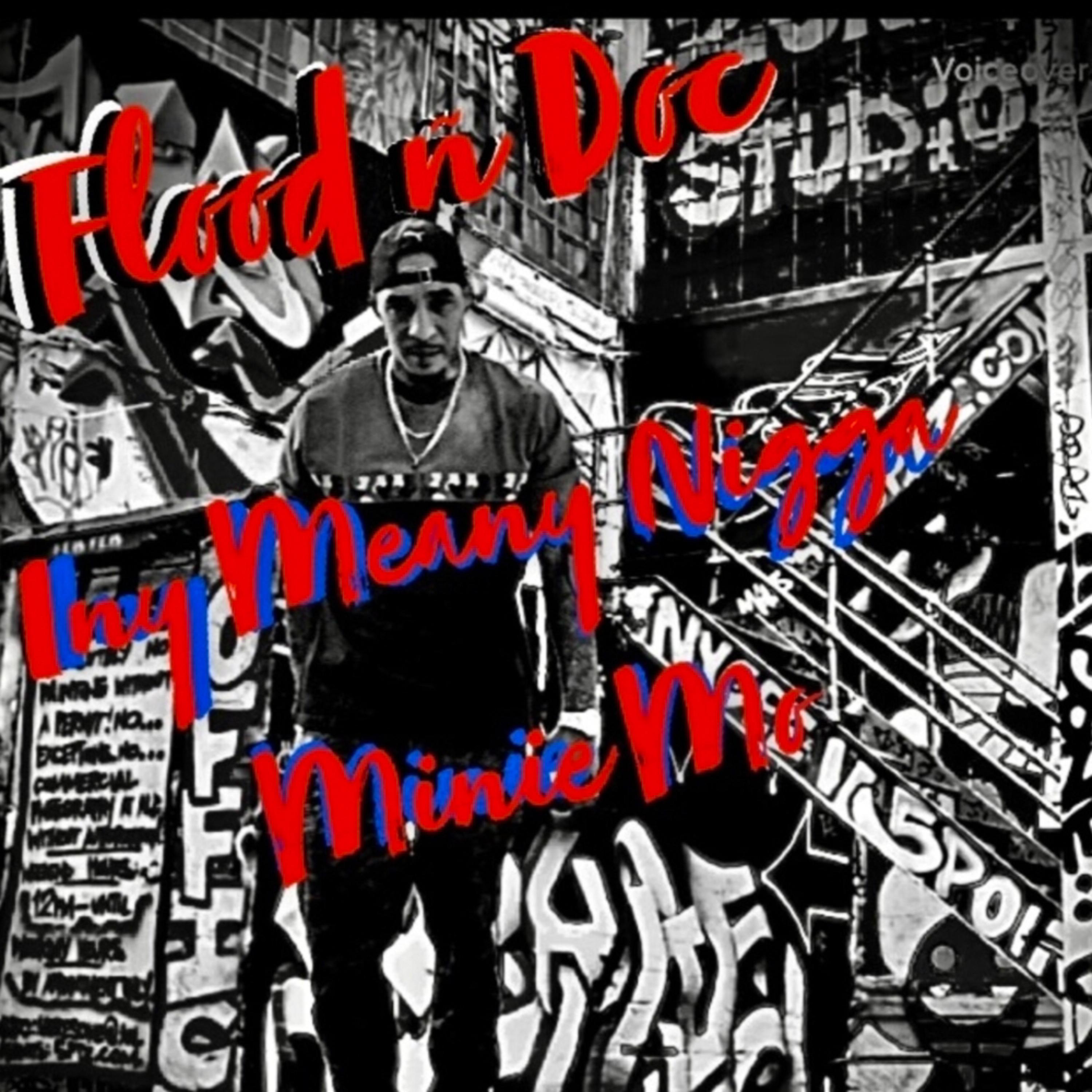 Iny Meany Nigga Minie Mo artwork