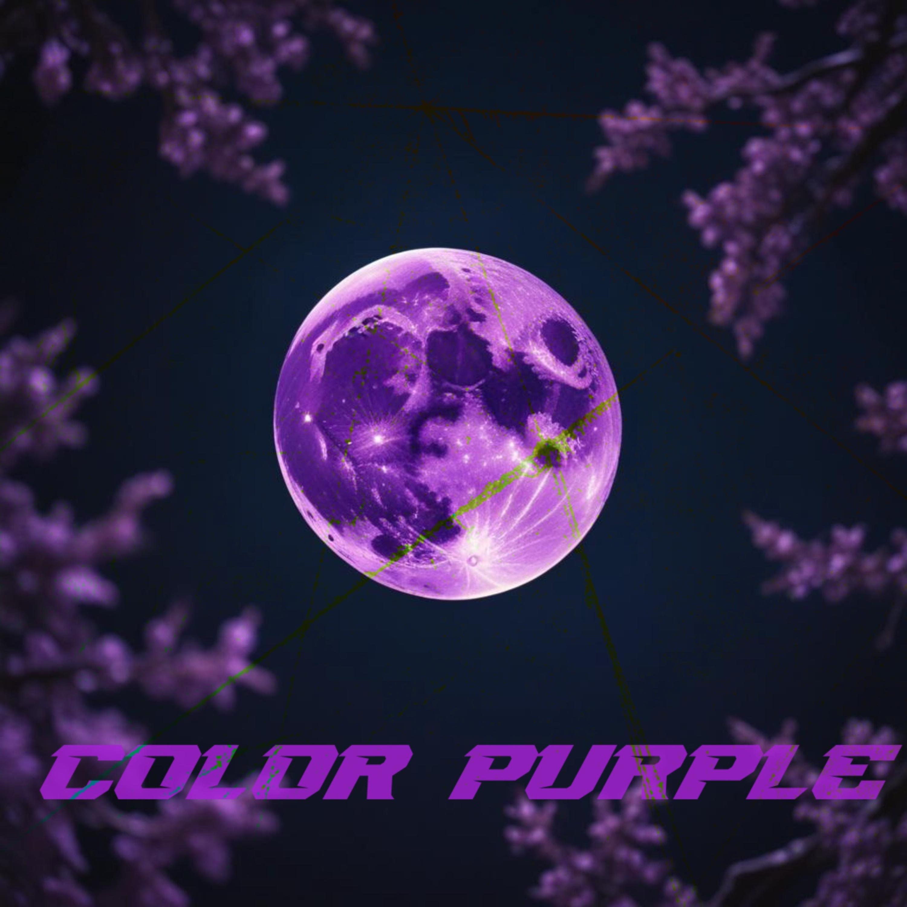 COLOR  PURPLE artwork