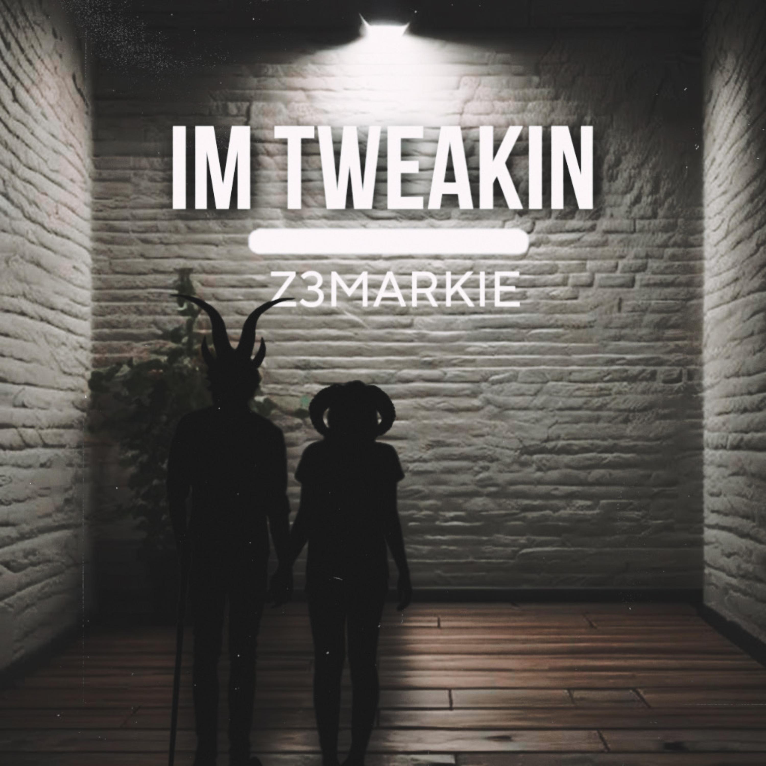 IM TWEAKIN artwork