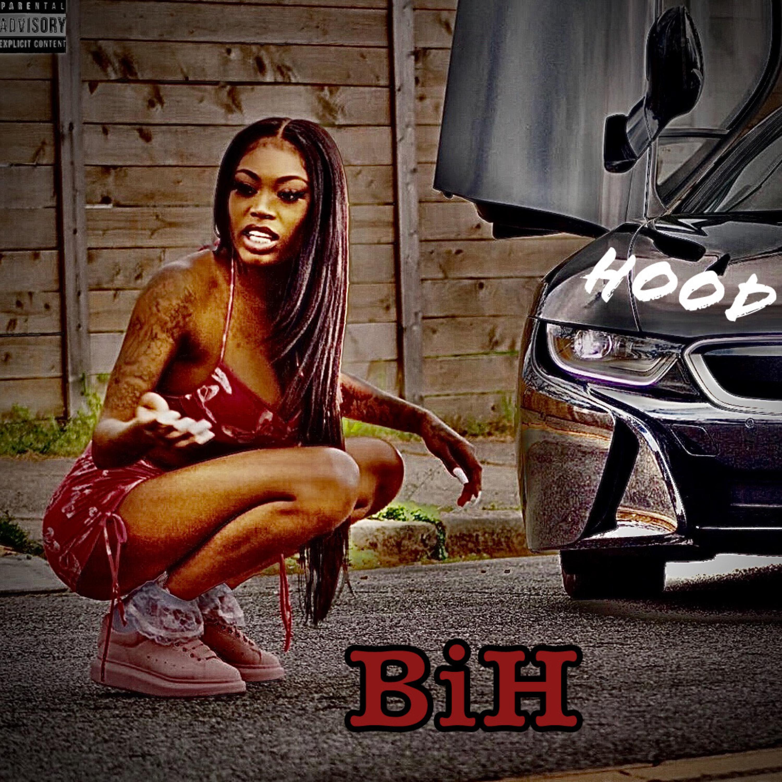 Hood BiH artwork