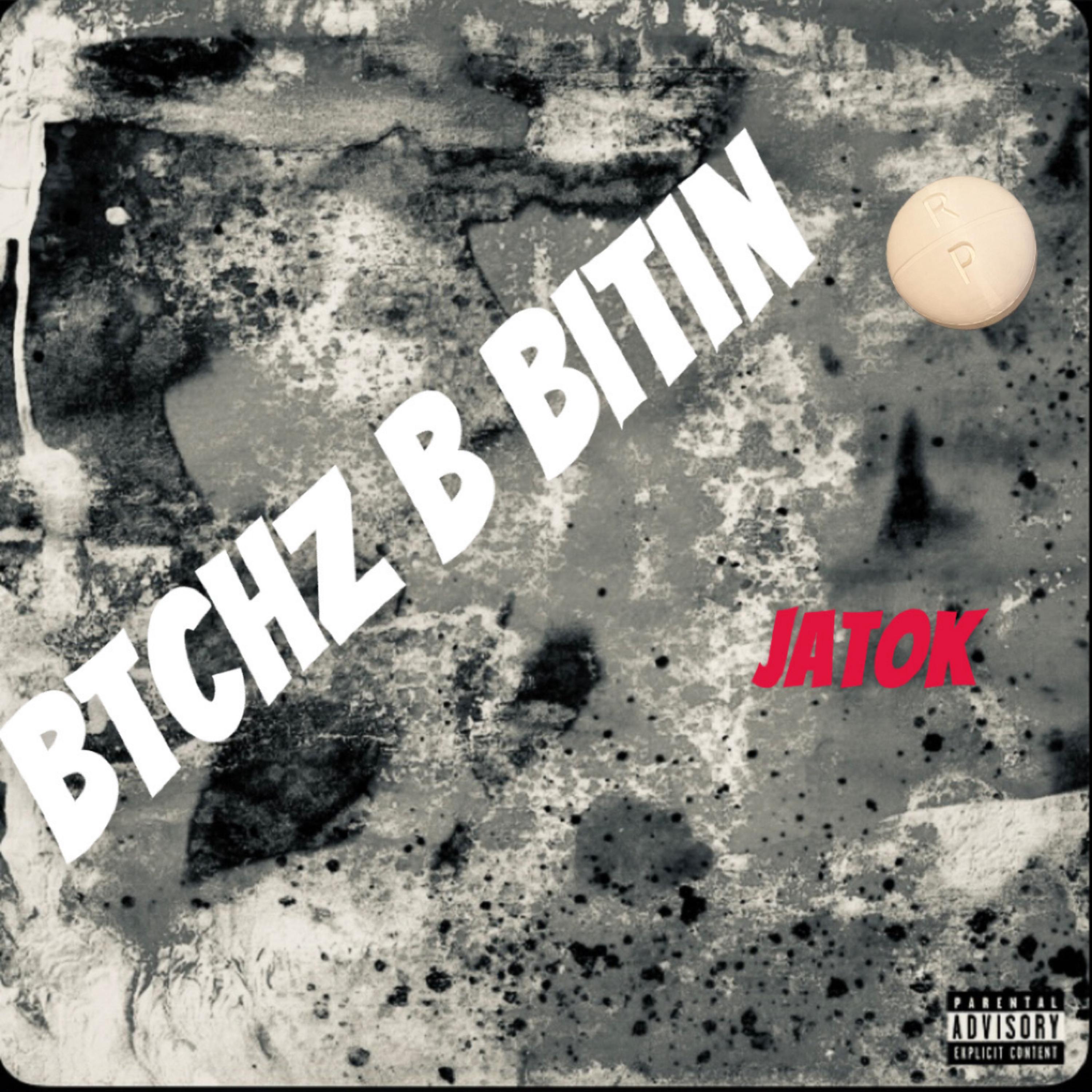 btchz b bitin artwork