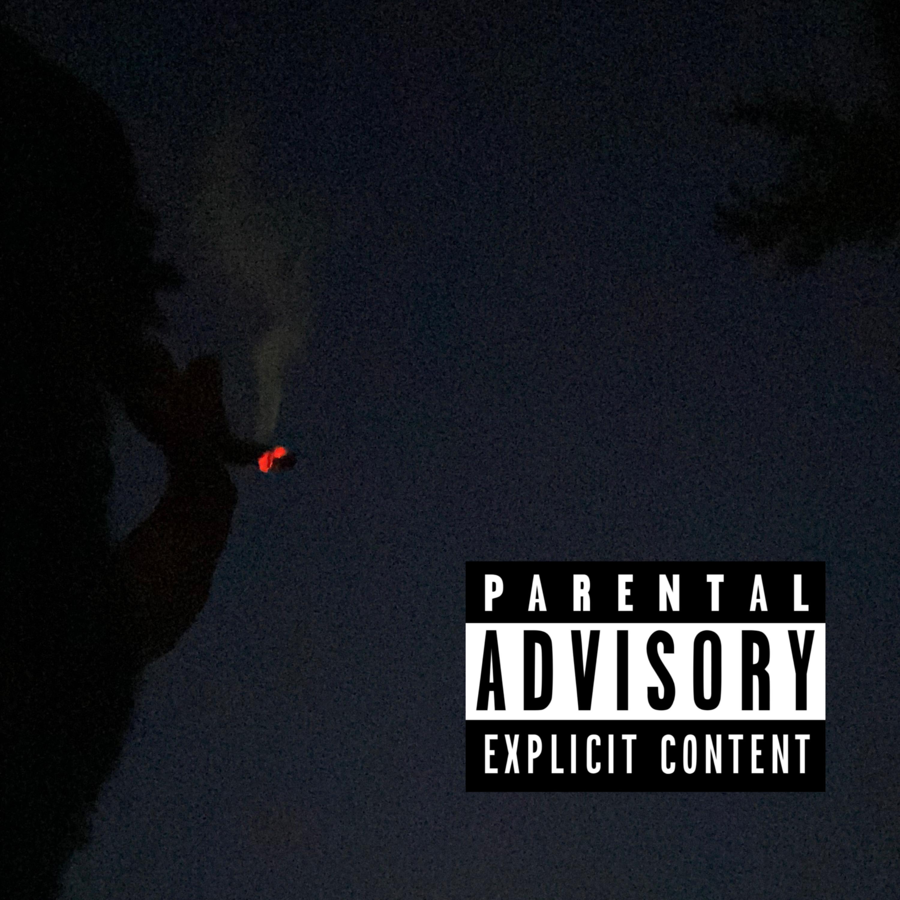 Takin off artwork