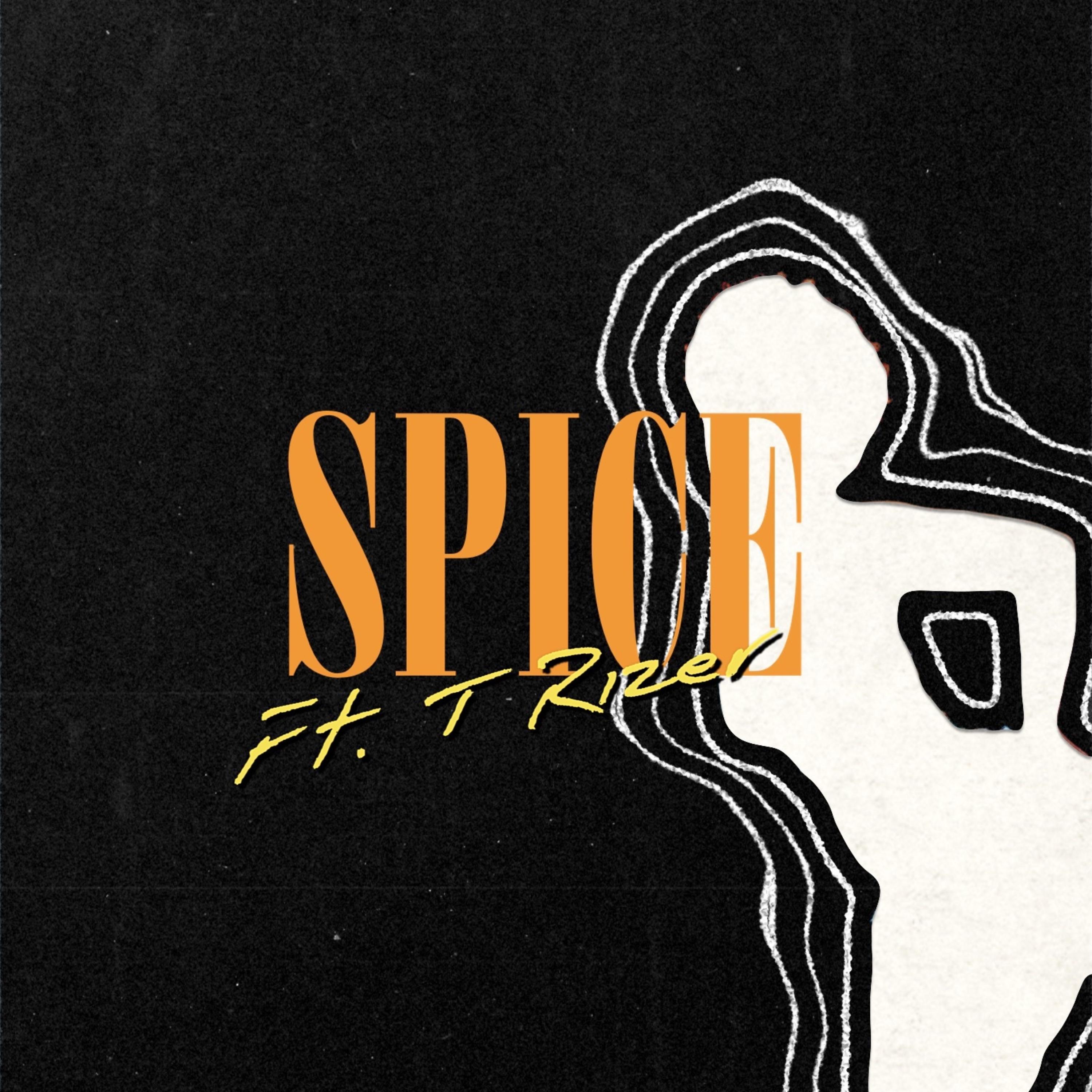 SPICE artwork