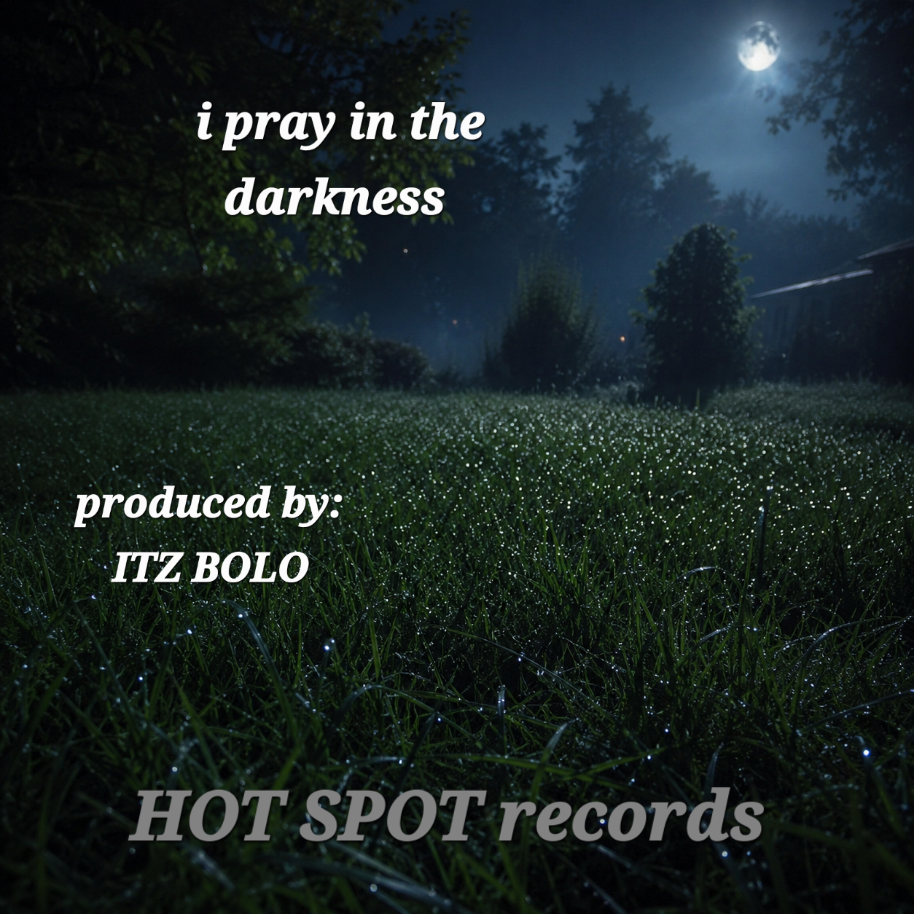 I pray in the darkness by ITZ BOLO cover art