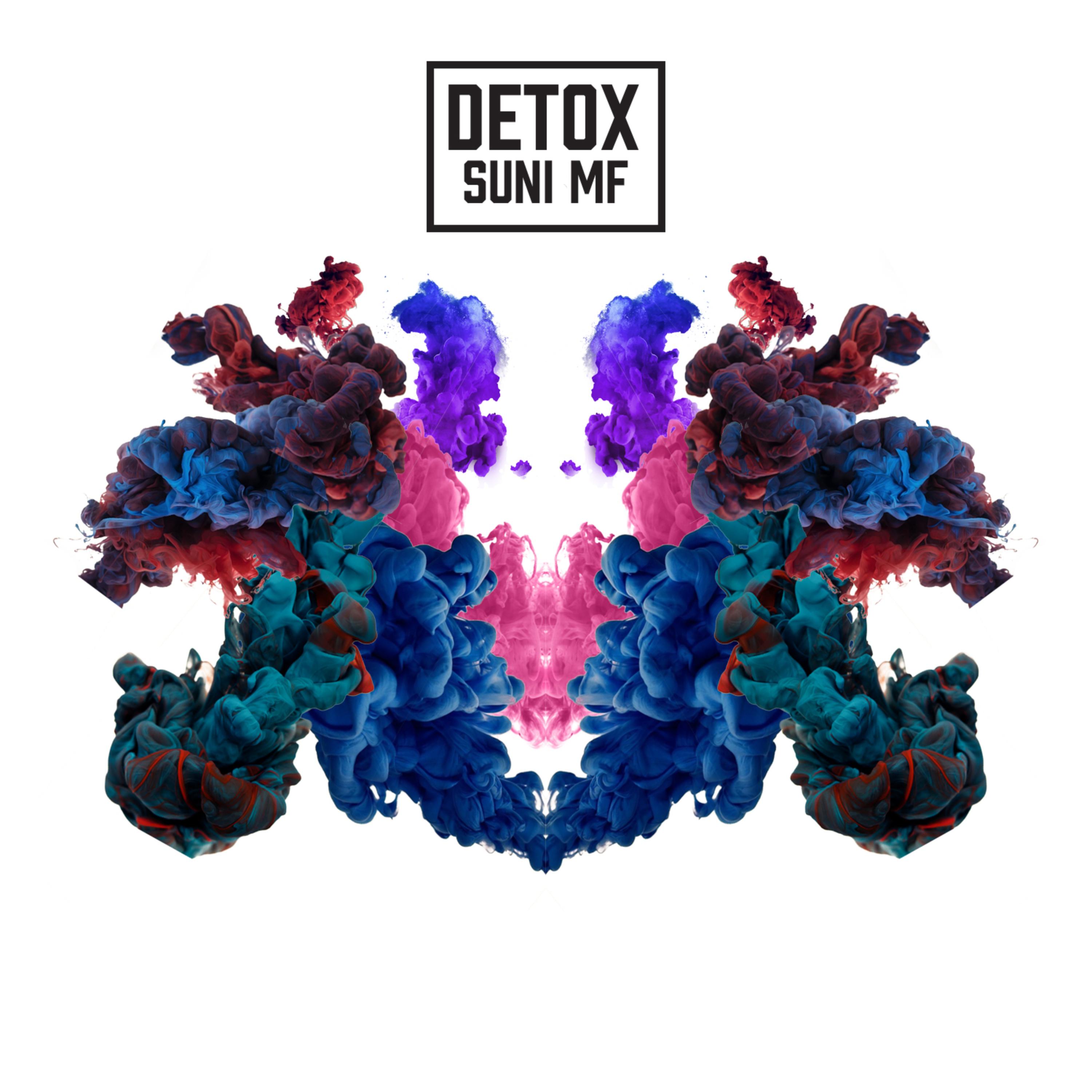 Detox (Radio Edit) artwork