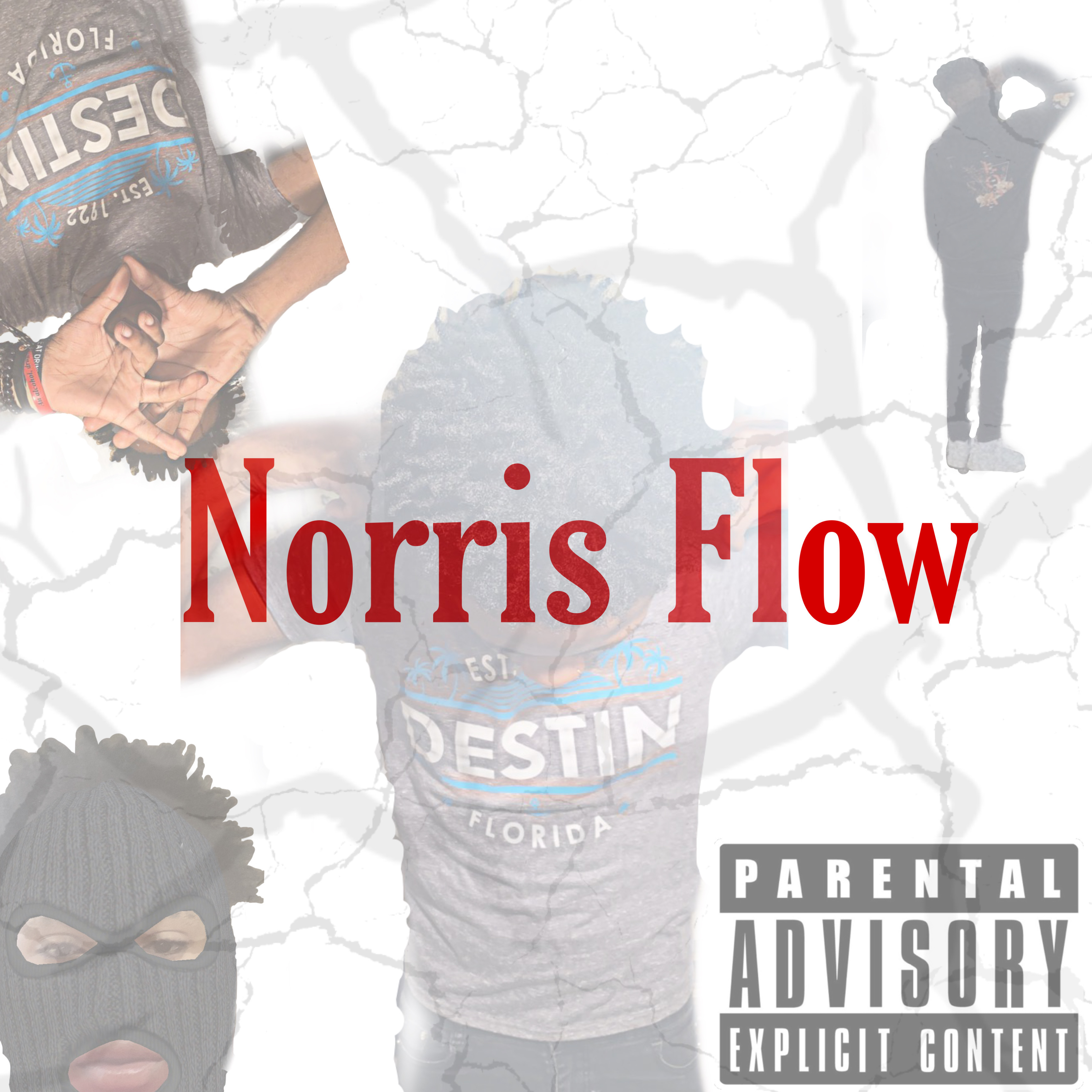 Norris Flow artwork