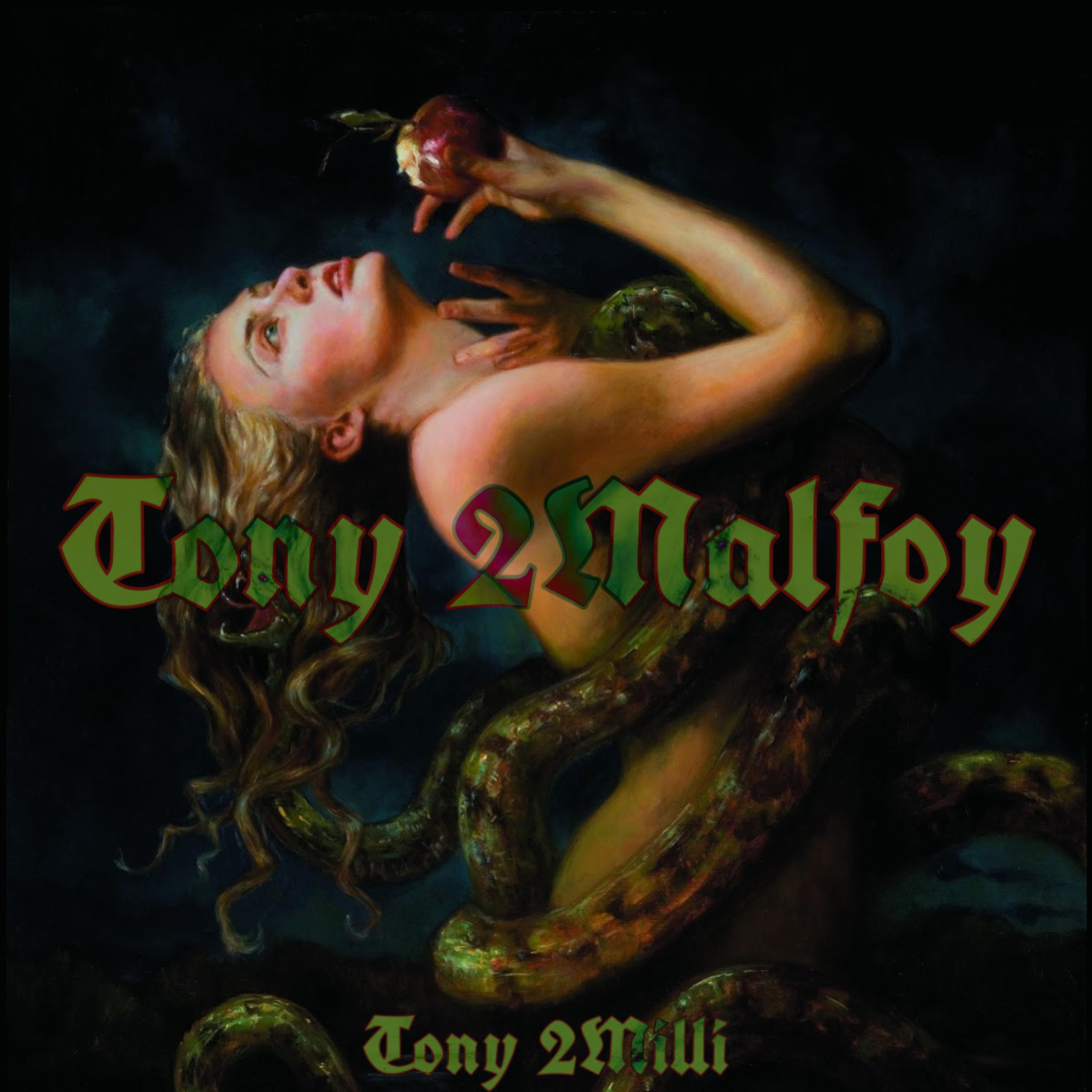 Tony 2Malfoy artwork