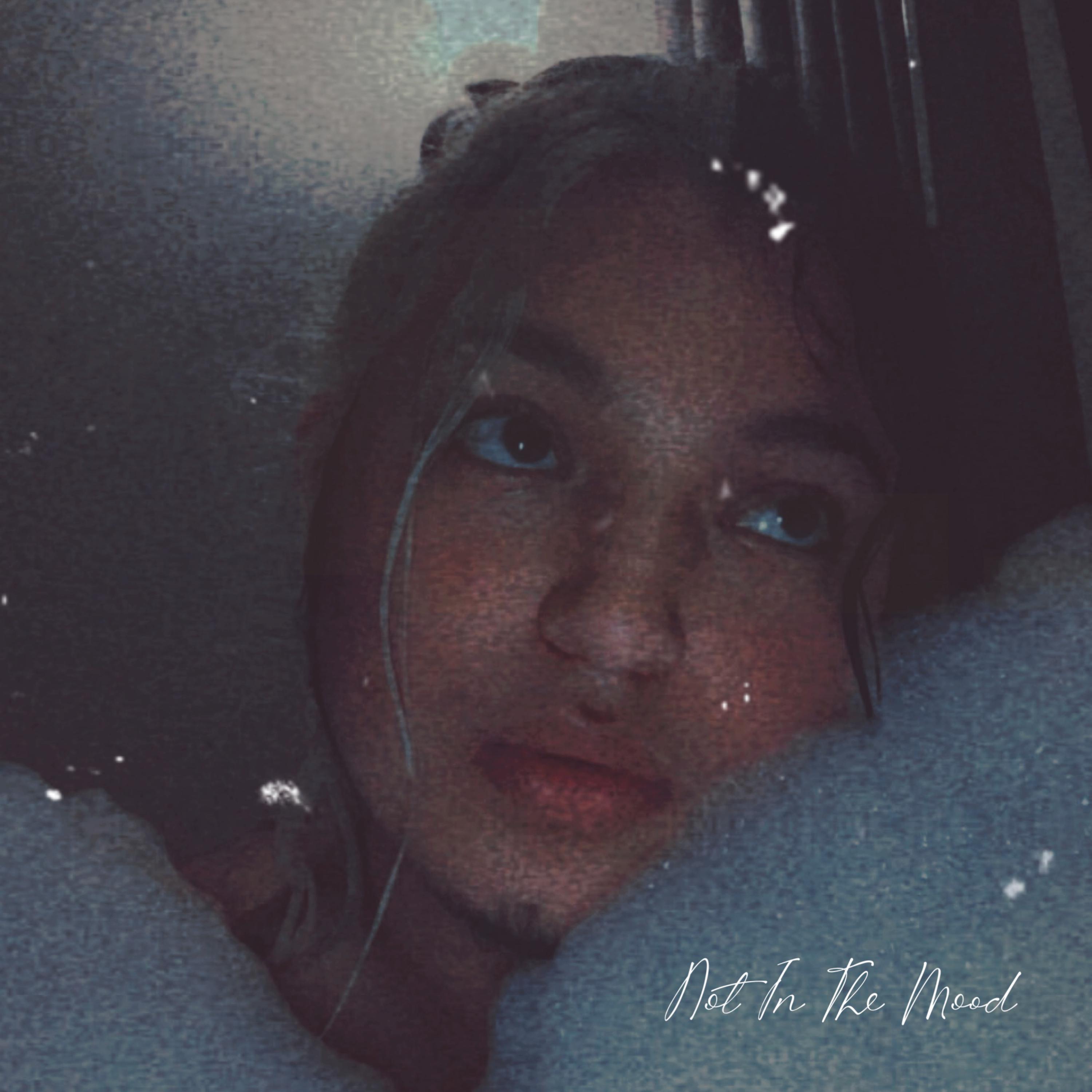 Not In The Mood artwork