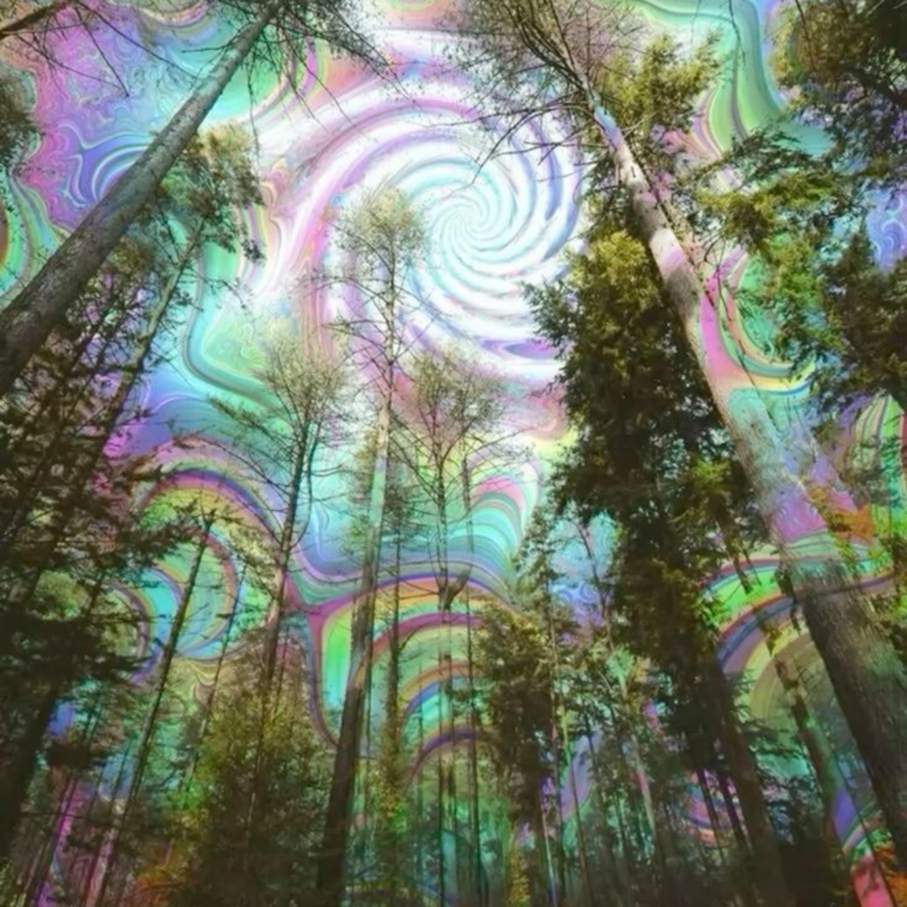 Bringafriend artwork