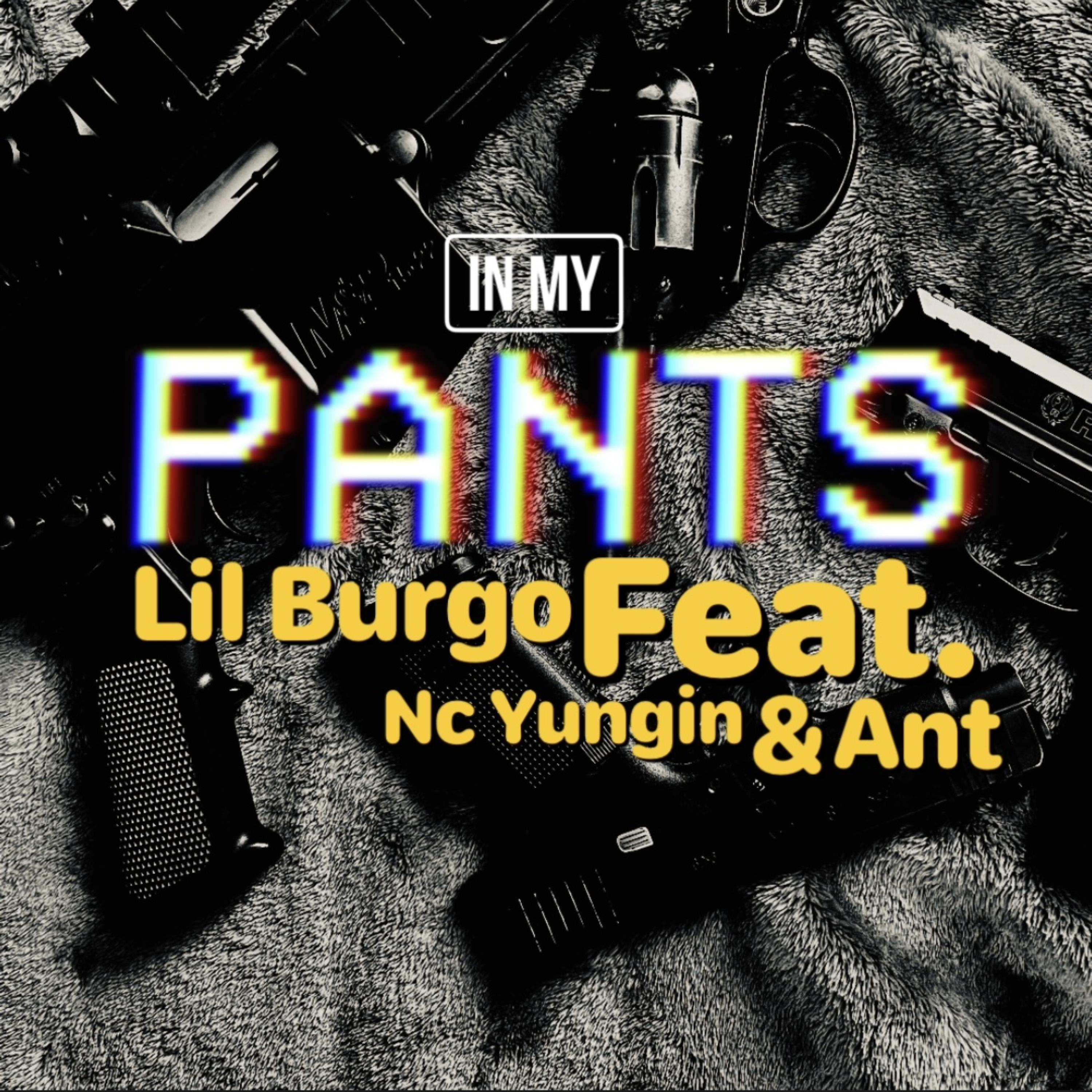 In My Pants artwork