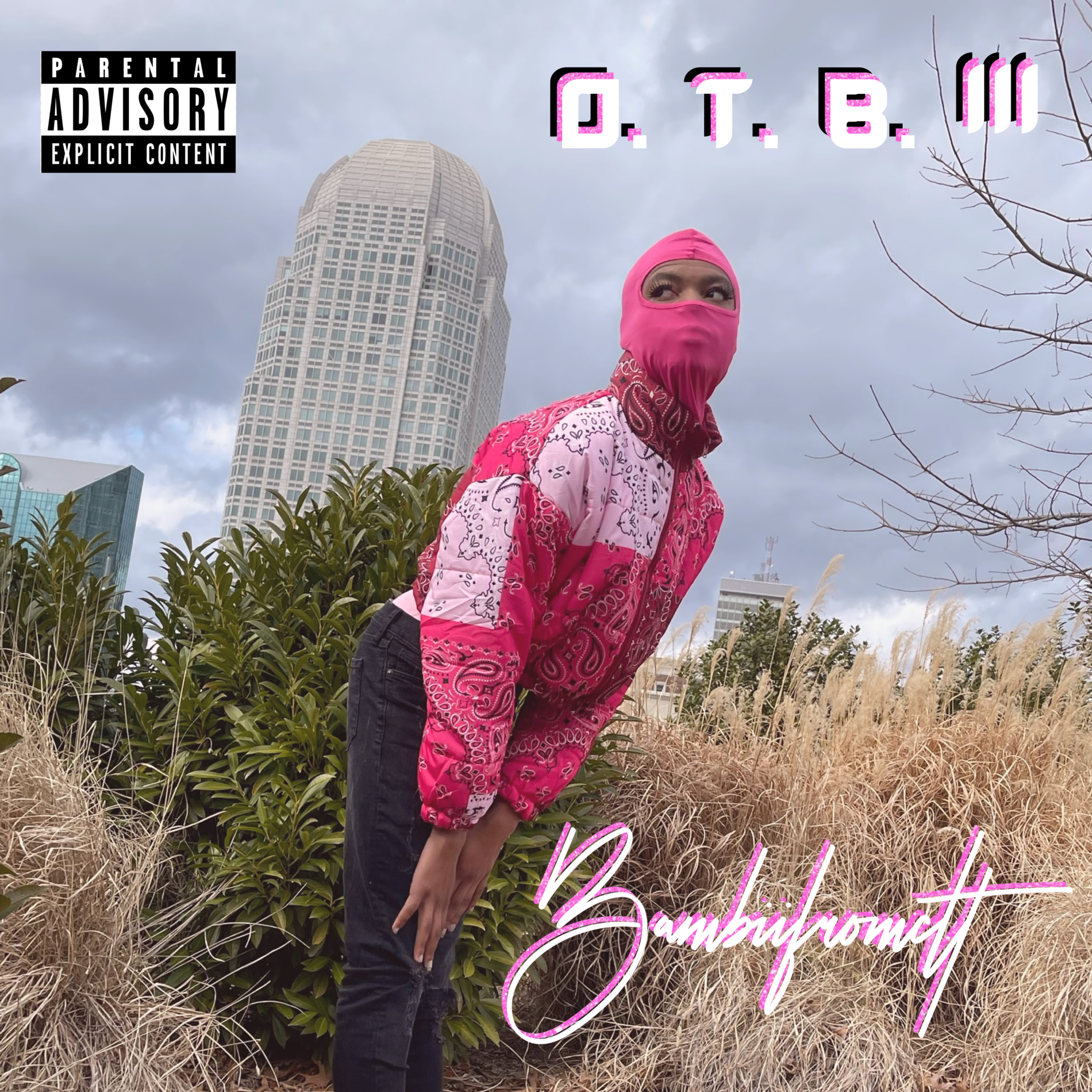 O. T. B. III artwork