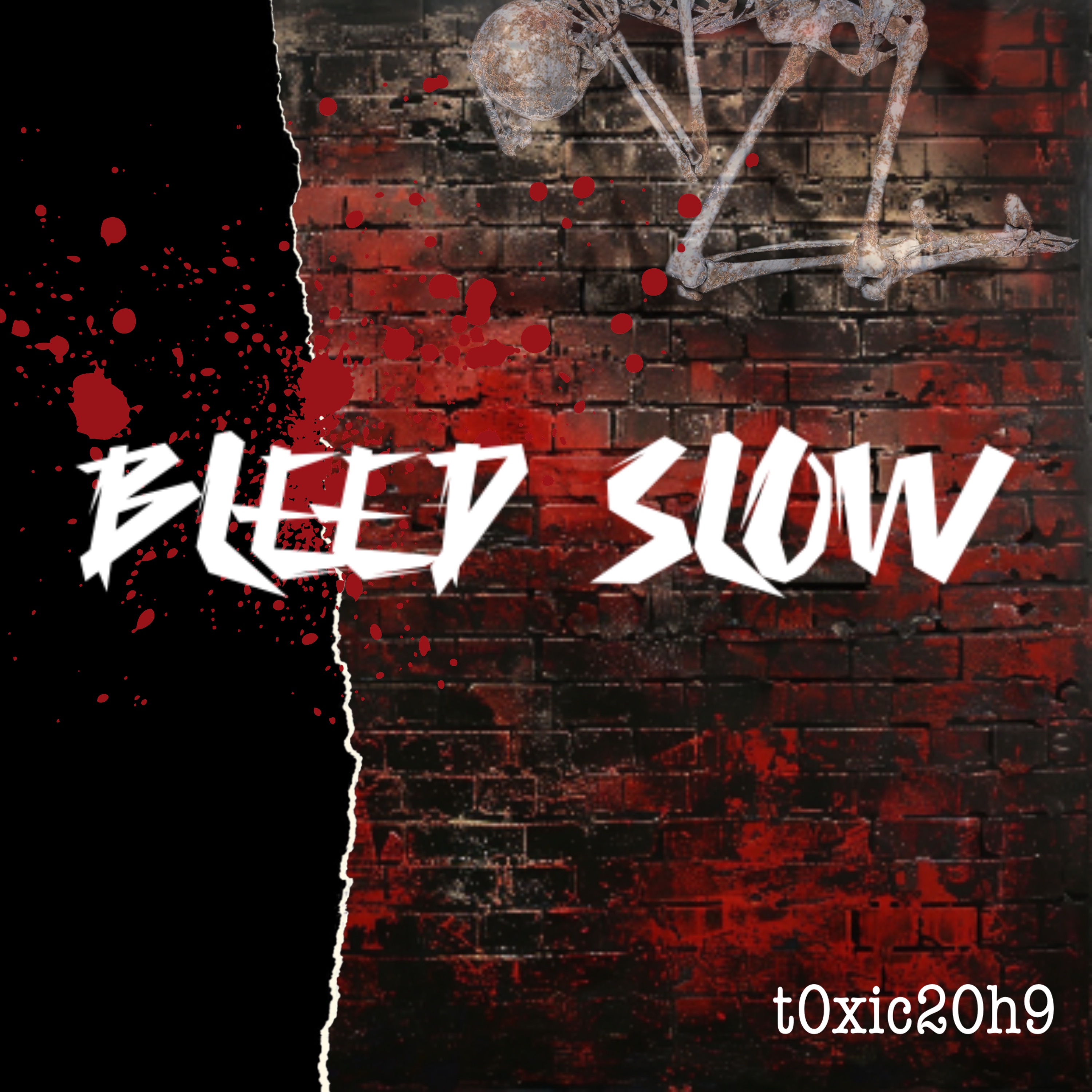 Bleed Slow artwork