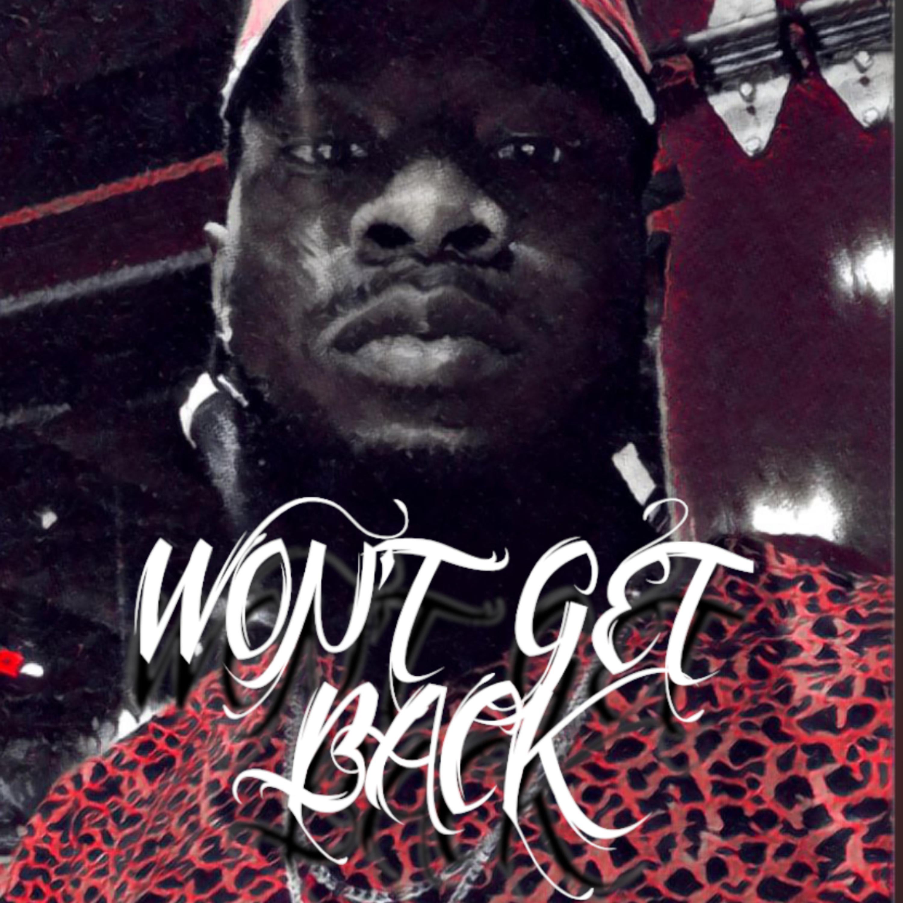 WON'T GET BACK artwork
