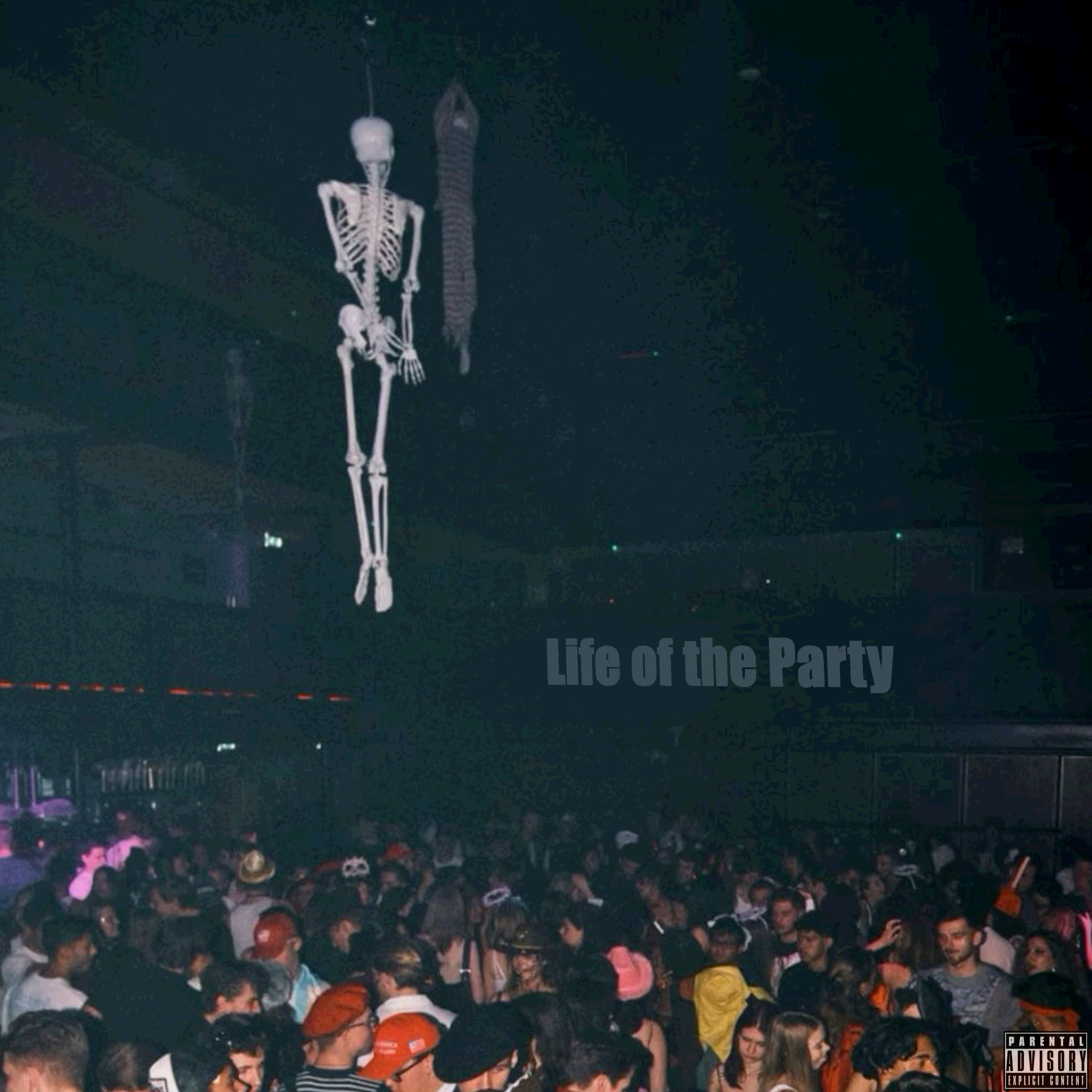 Life of the Party: mom raps artwork