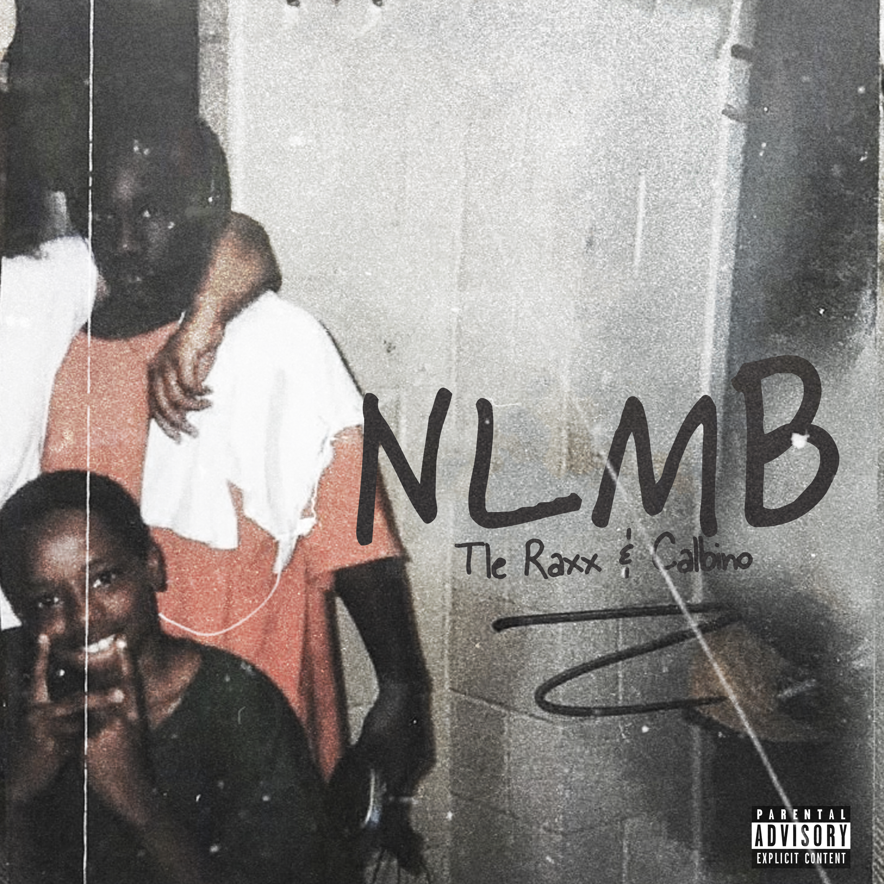 NLMB artwork