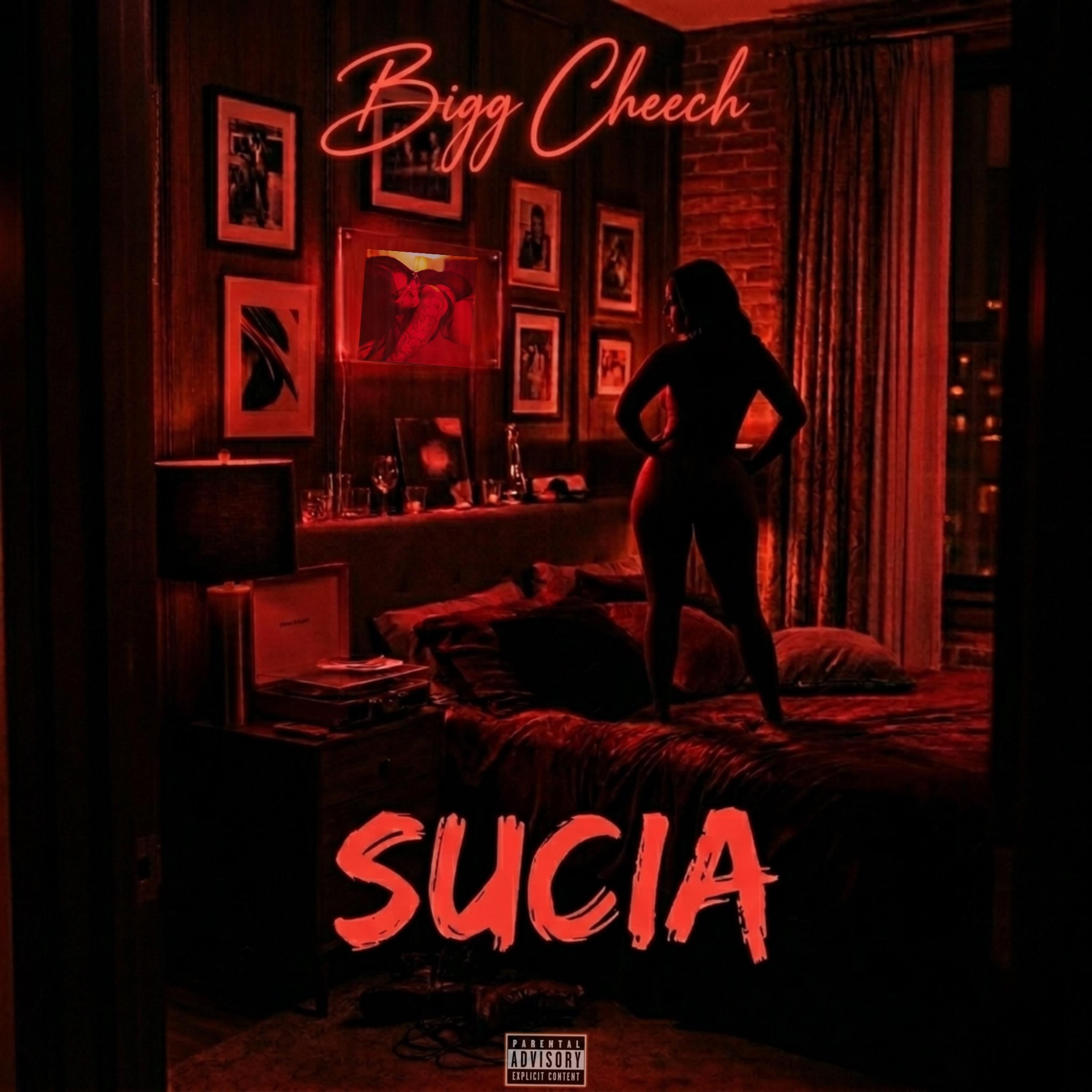 Sucia by Bigg Cheech cover art