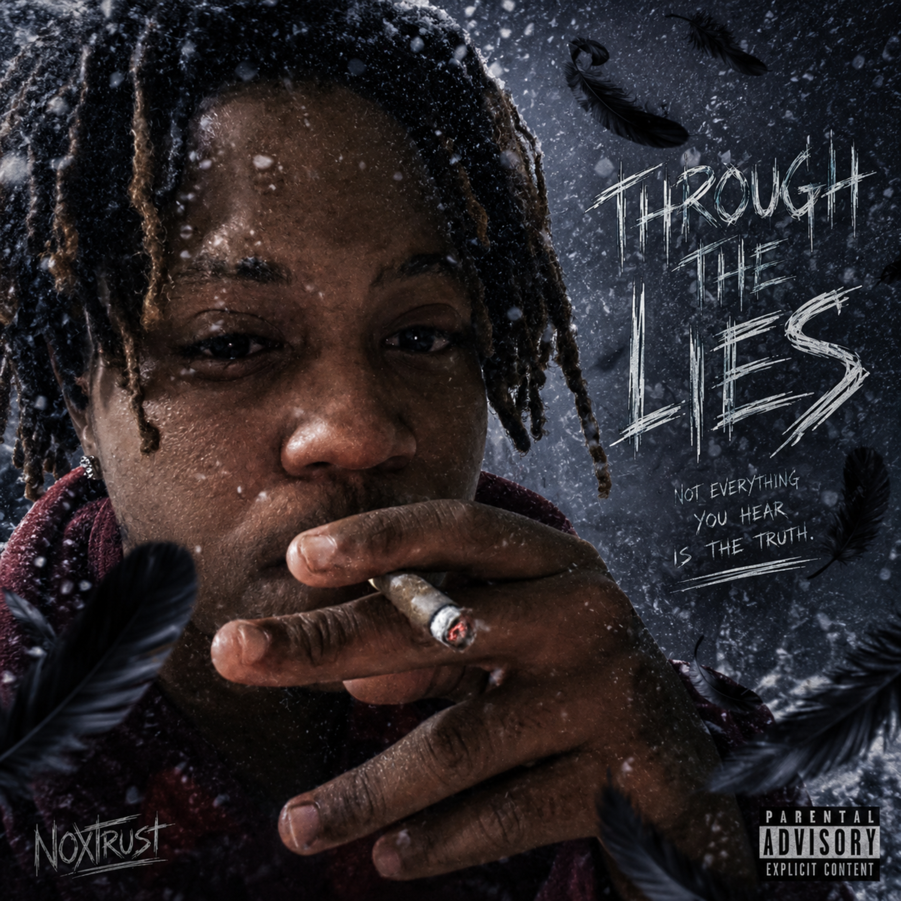 Through The Lies by OBM Dee cover art