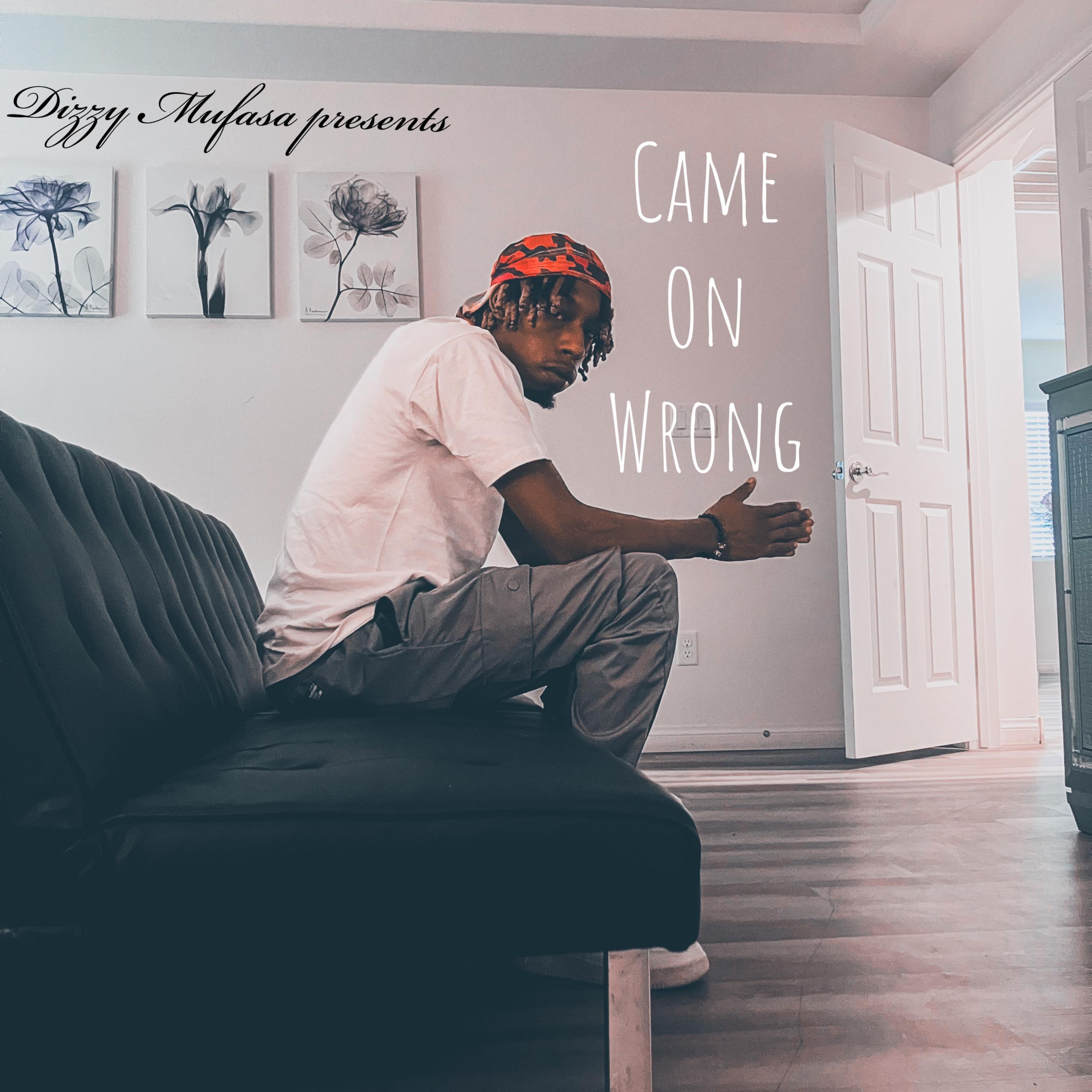 Came On Wrong by Dizzy Mufasa cover art