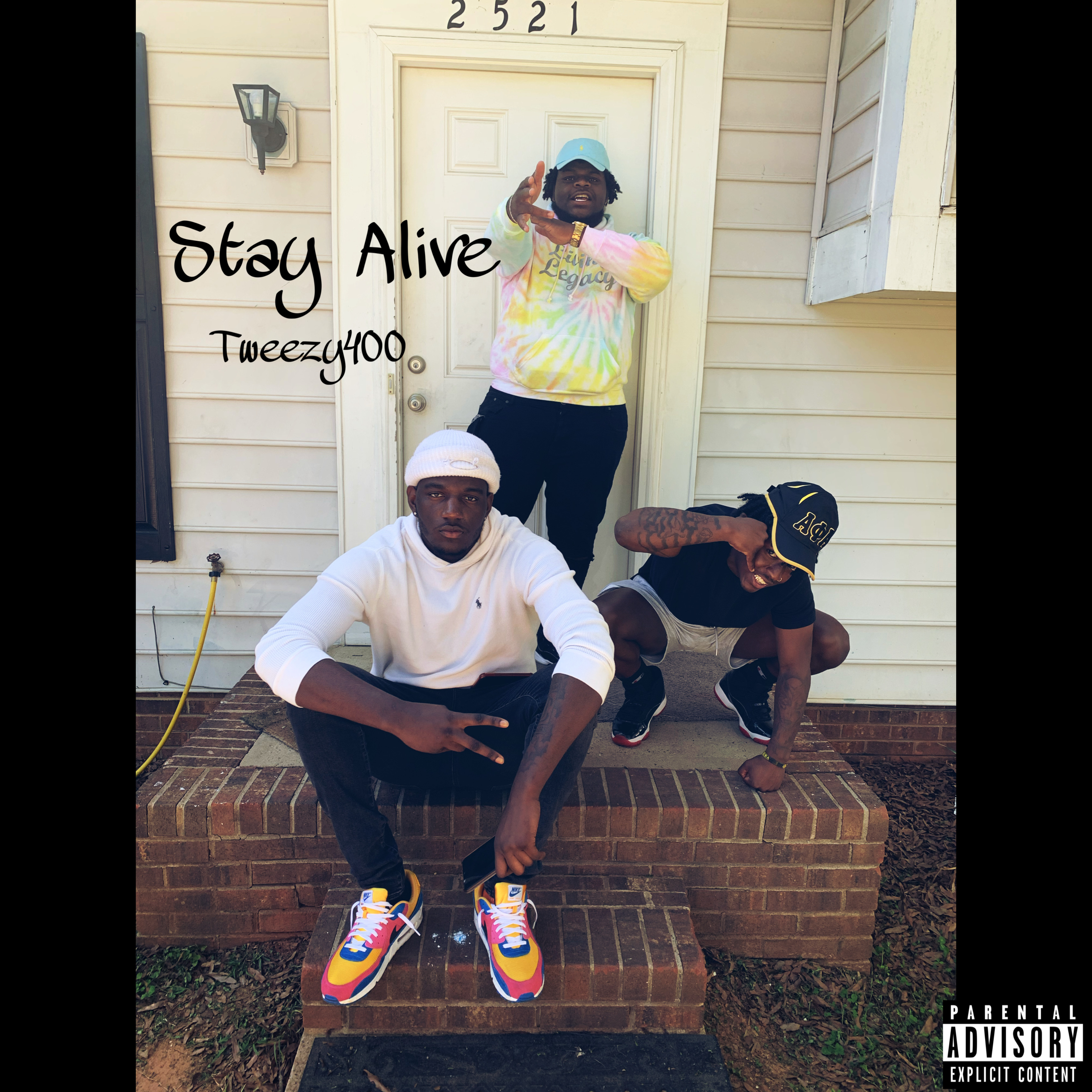 Stay Alive artwork