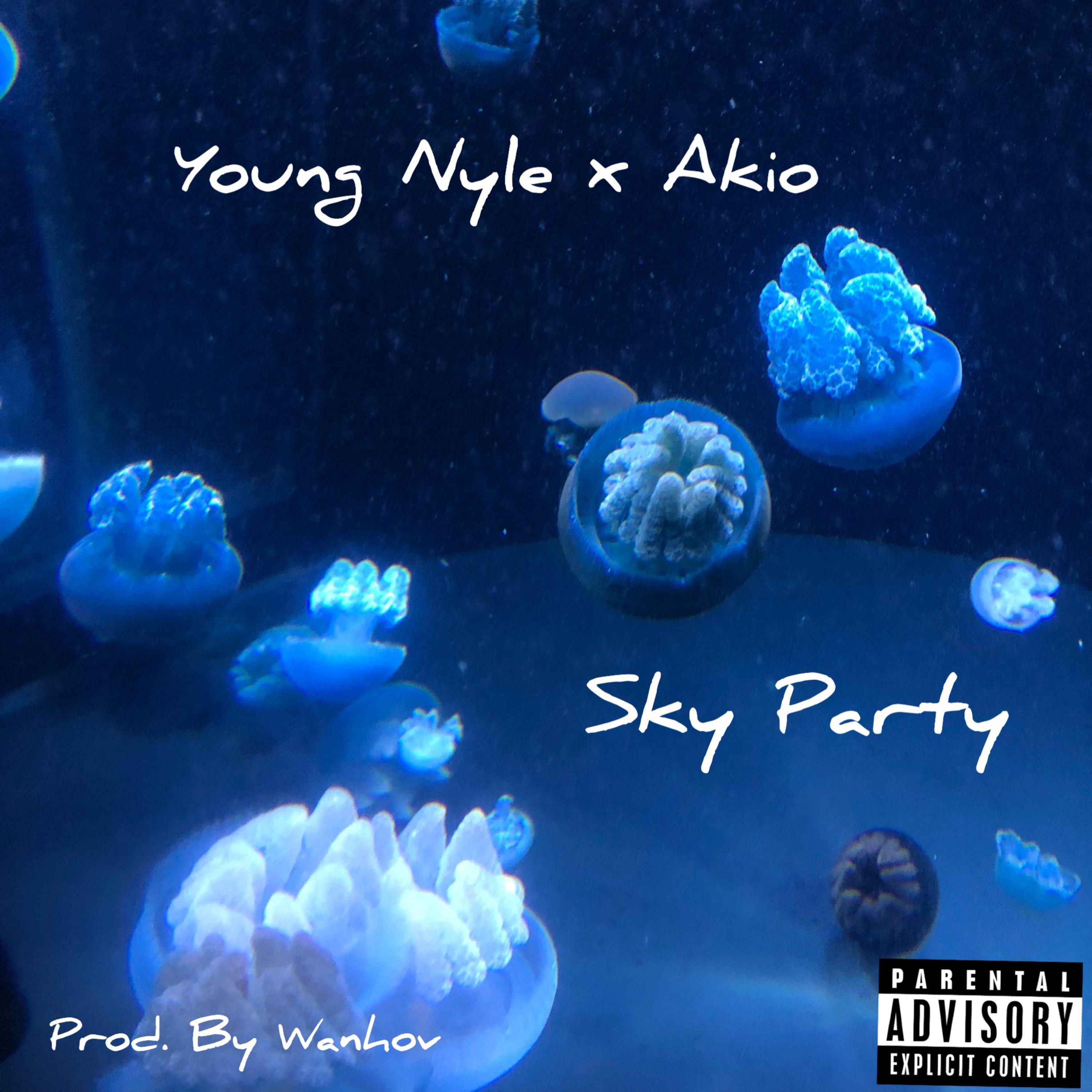 Sky Party artwork