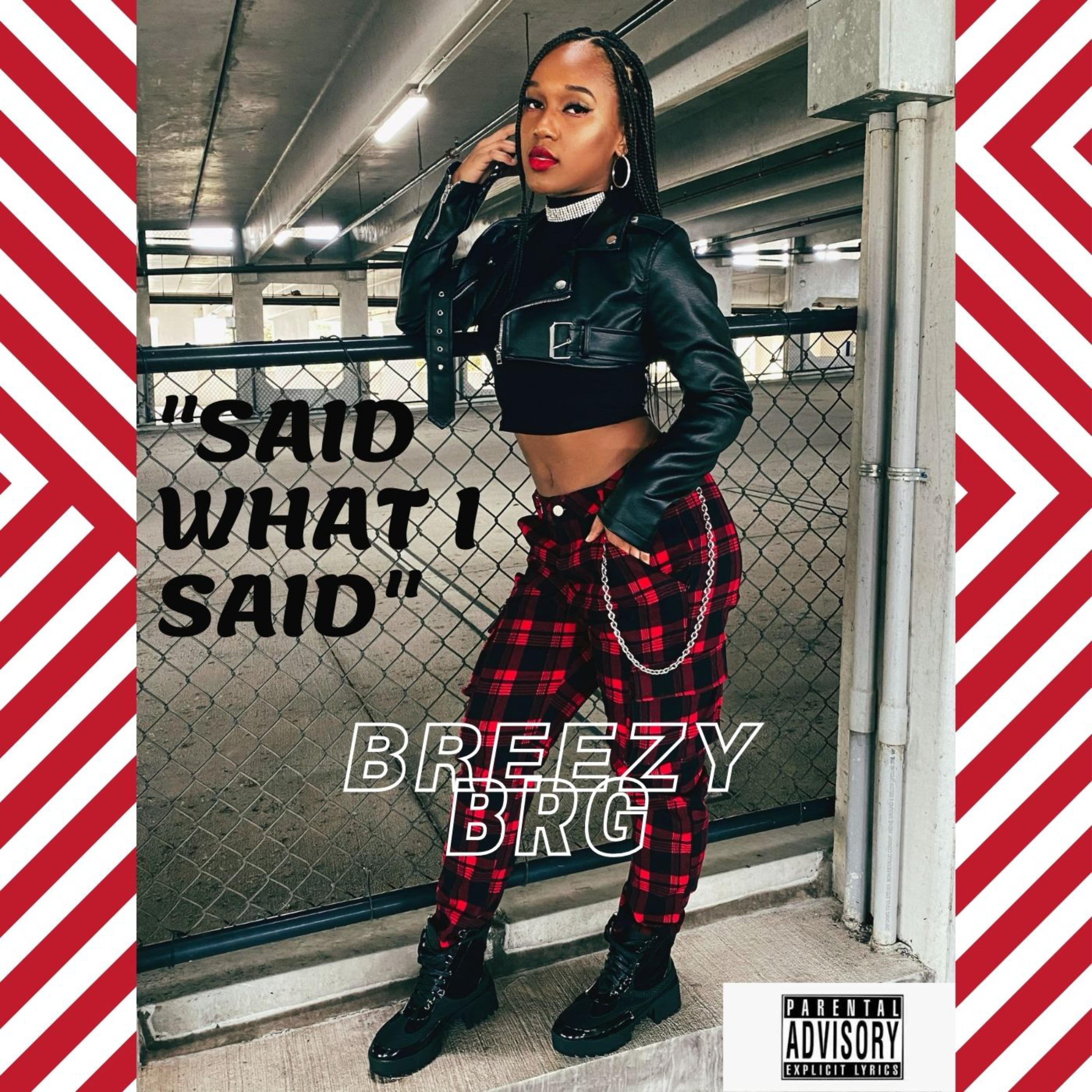 Said What I Said artwork