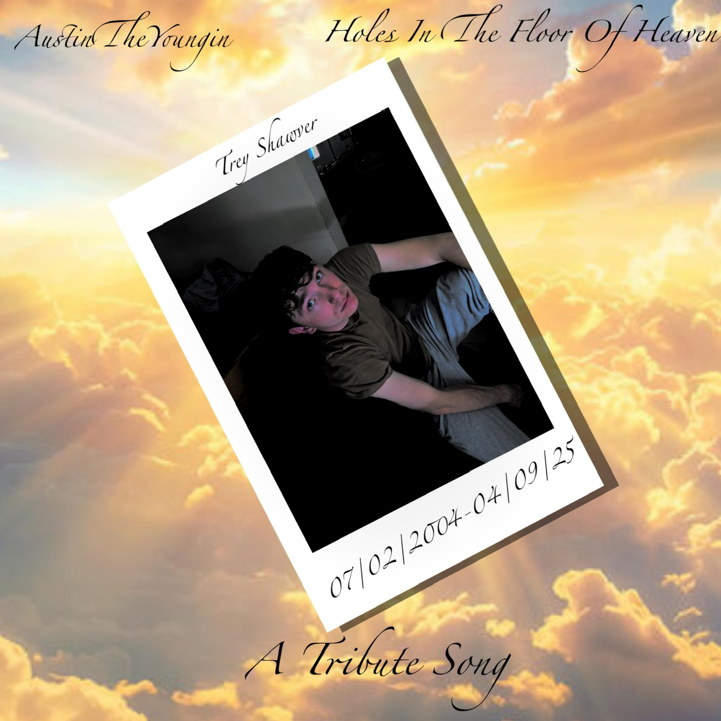 Holes In The Floor Of Heaven by AustinTheYoungin cover art