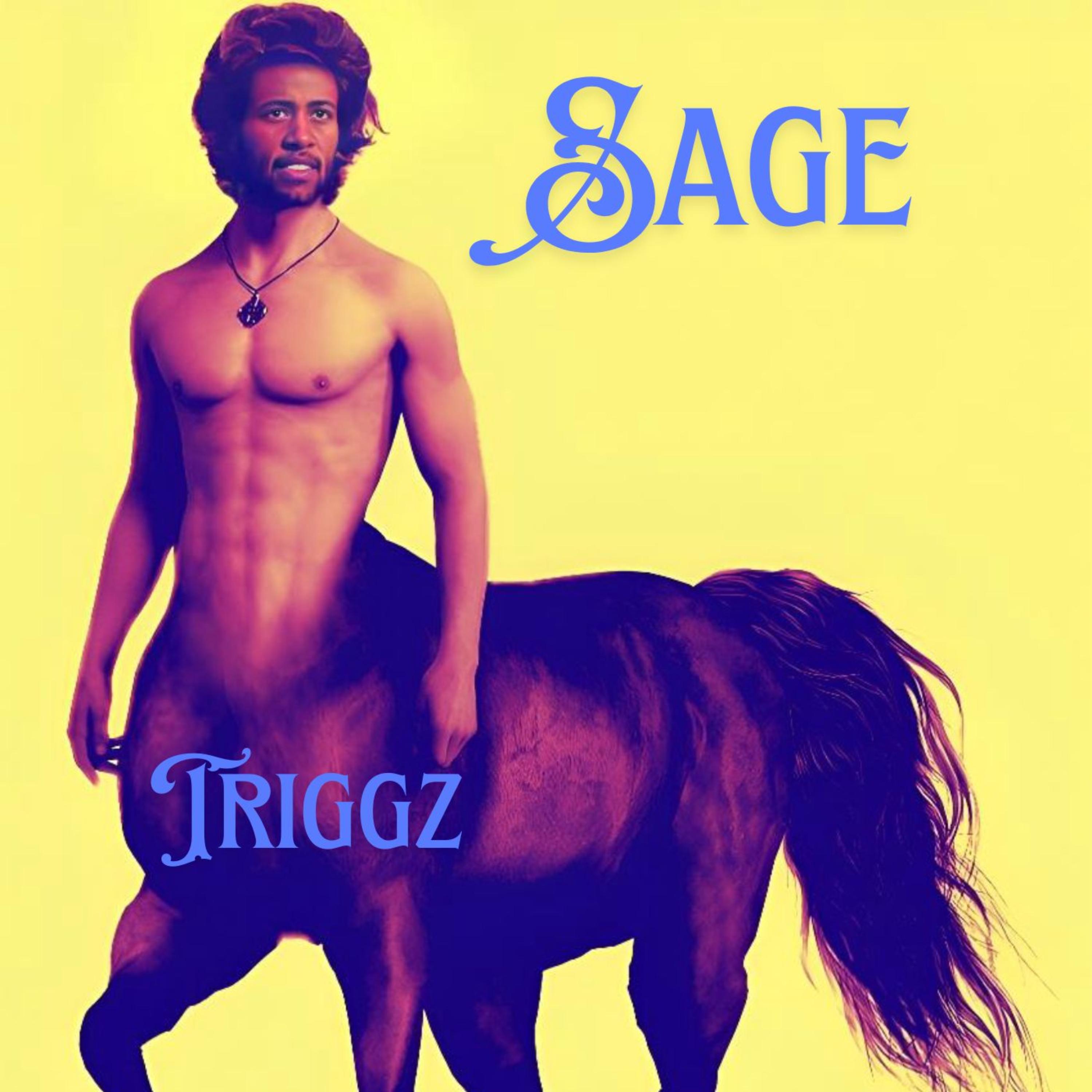 Sage by Triggz cover art