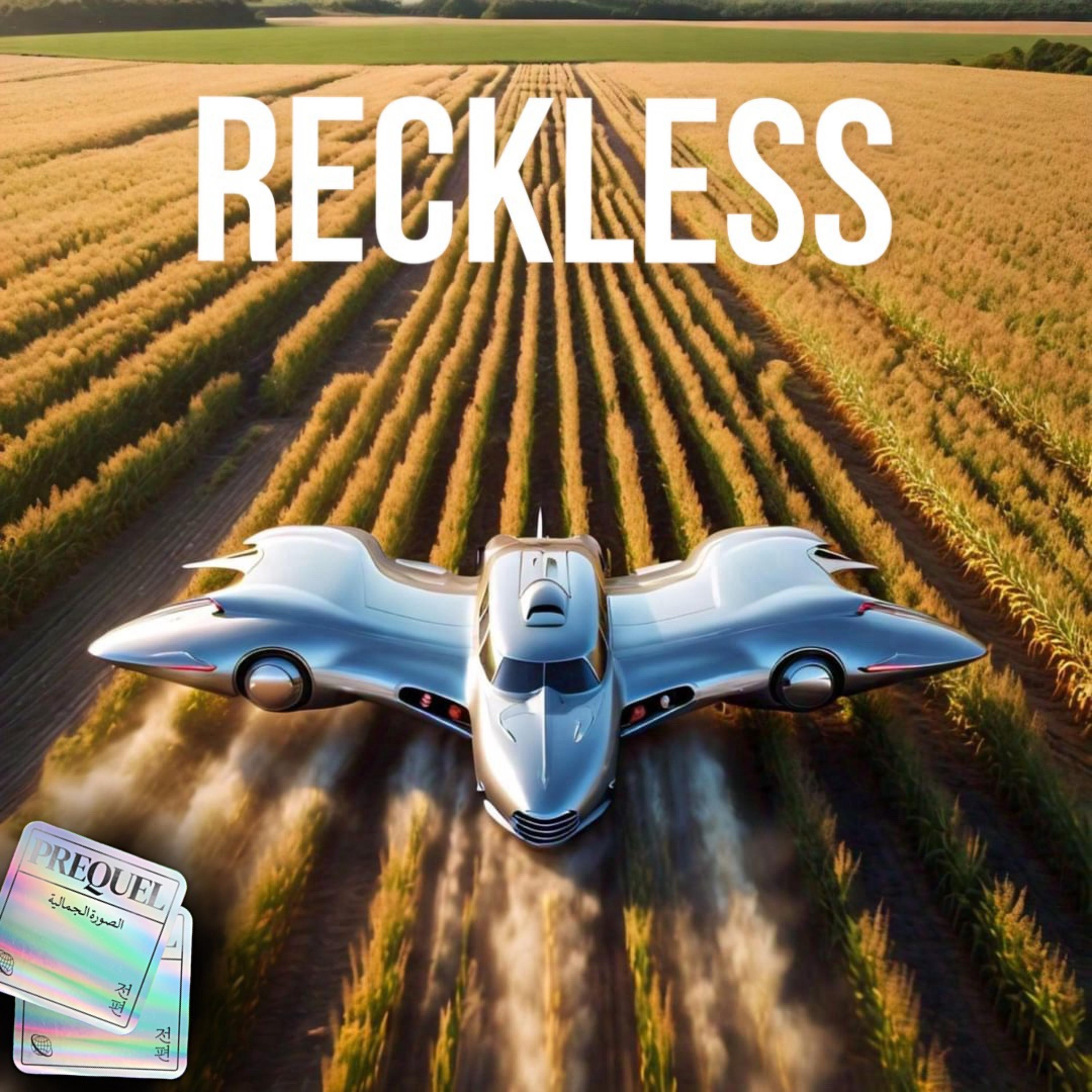 Reckless artwork