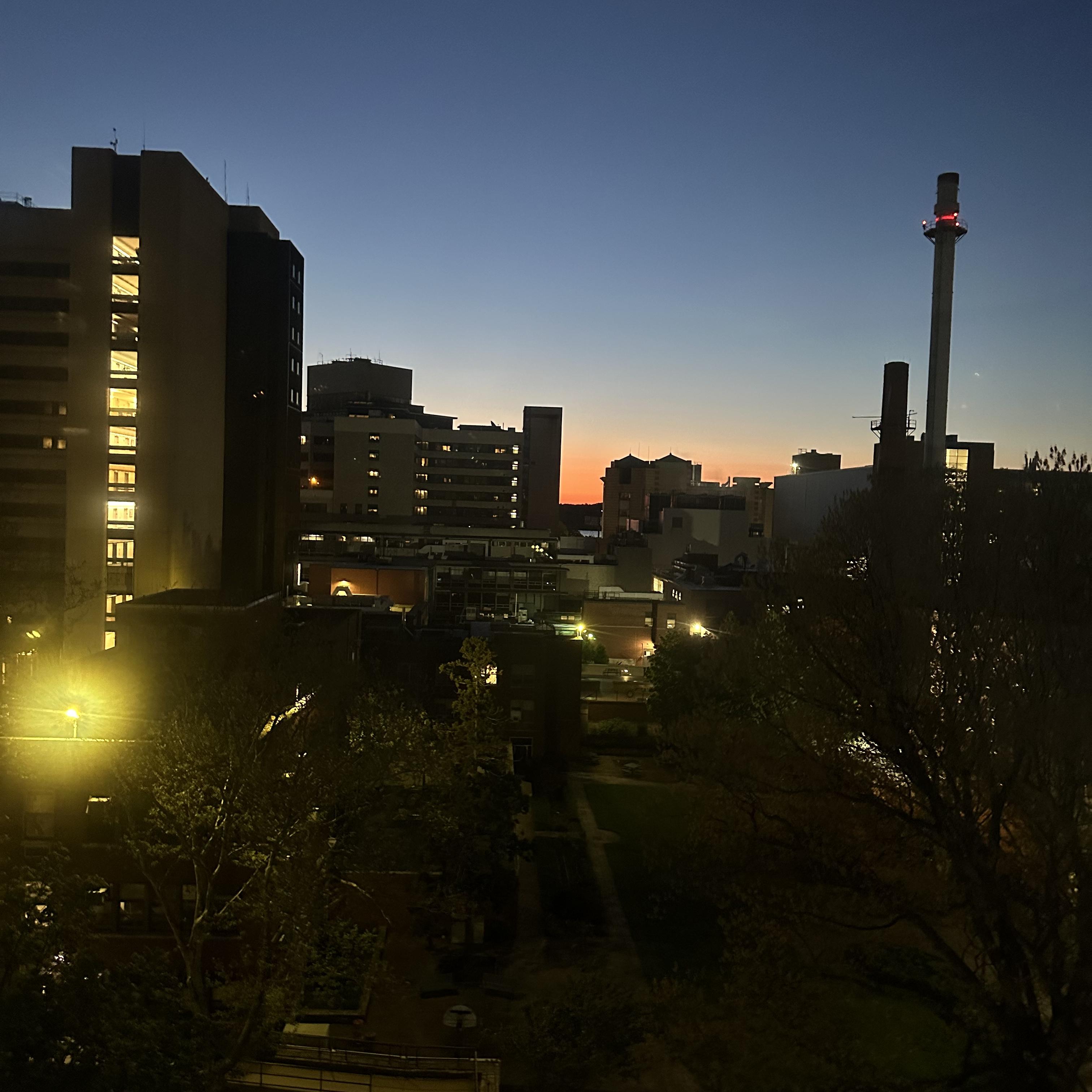 I JUST HAD A BABY artwork