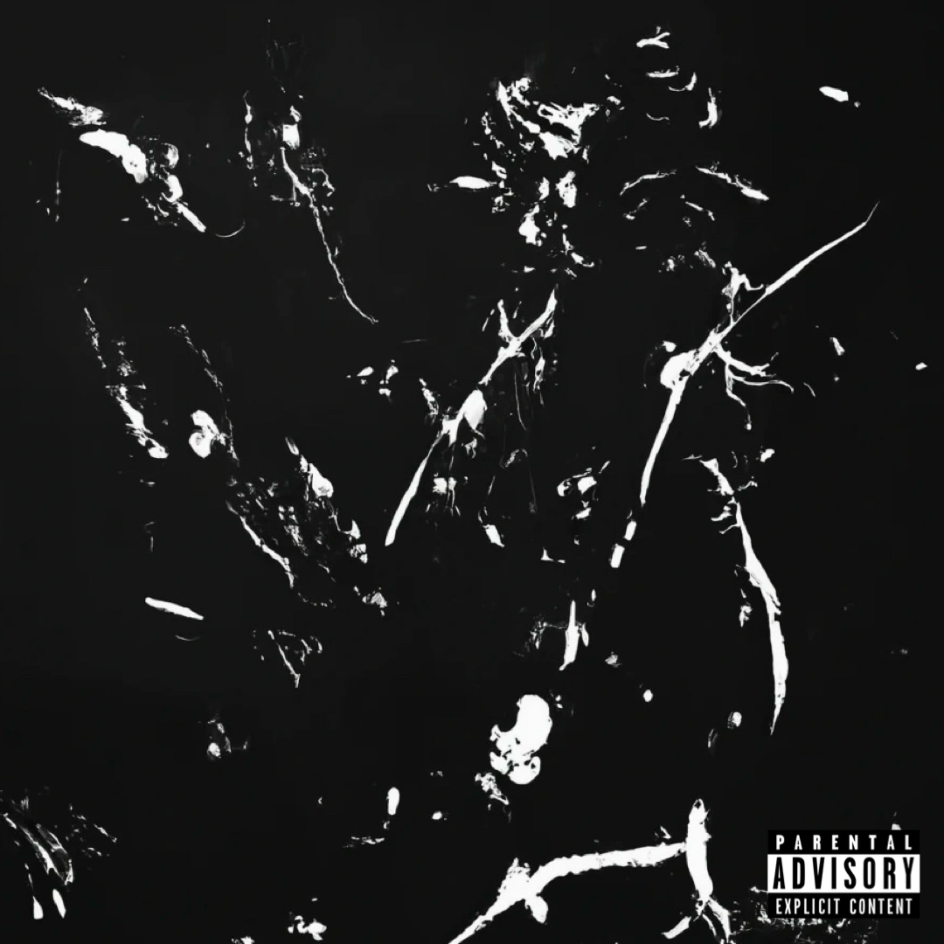 ANARCHY II by KJ_THE_KING cover art